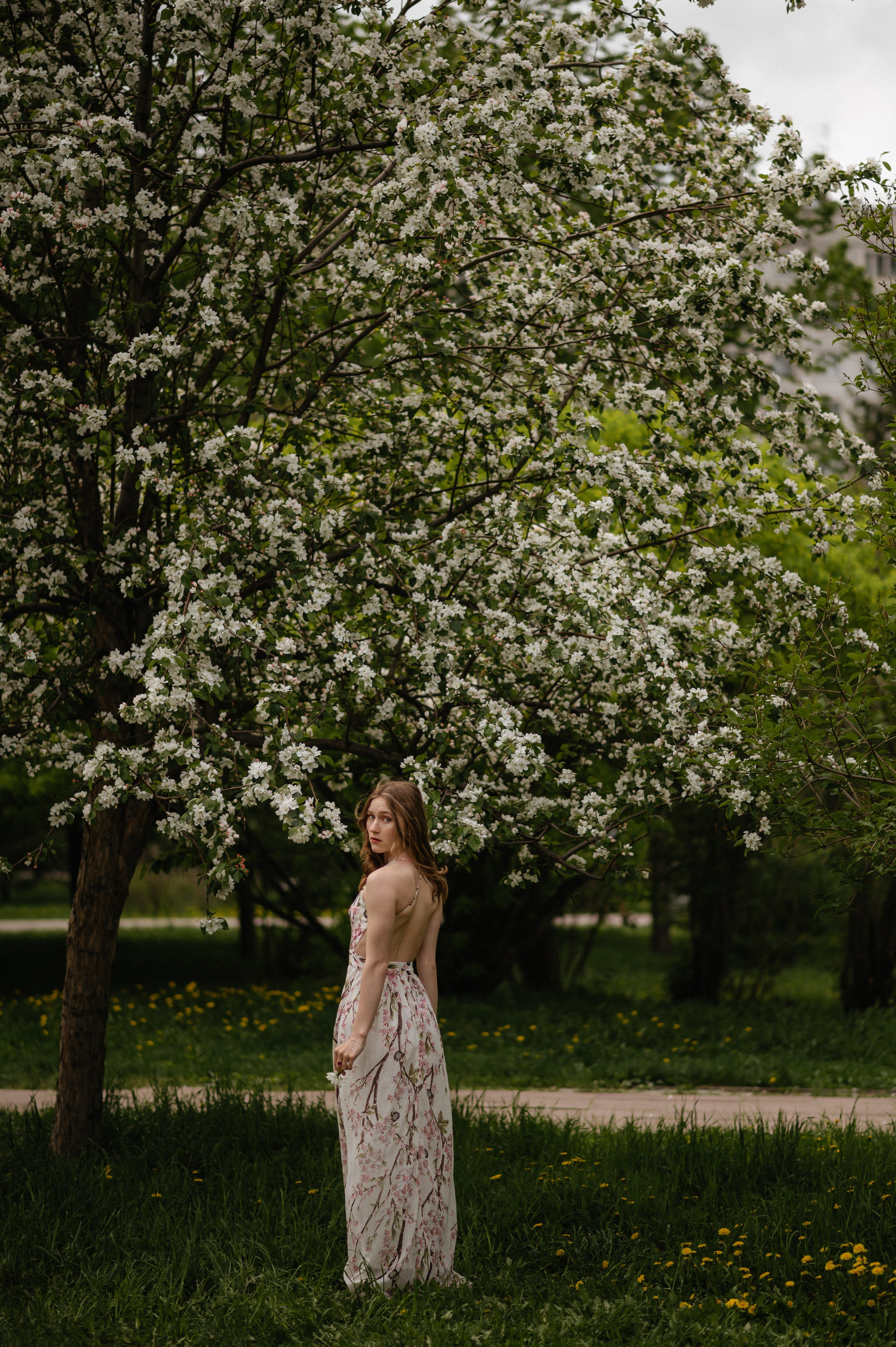 Ксюша, цветение. Главная