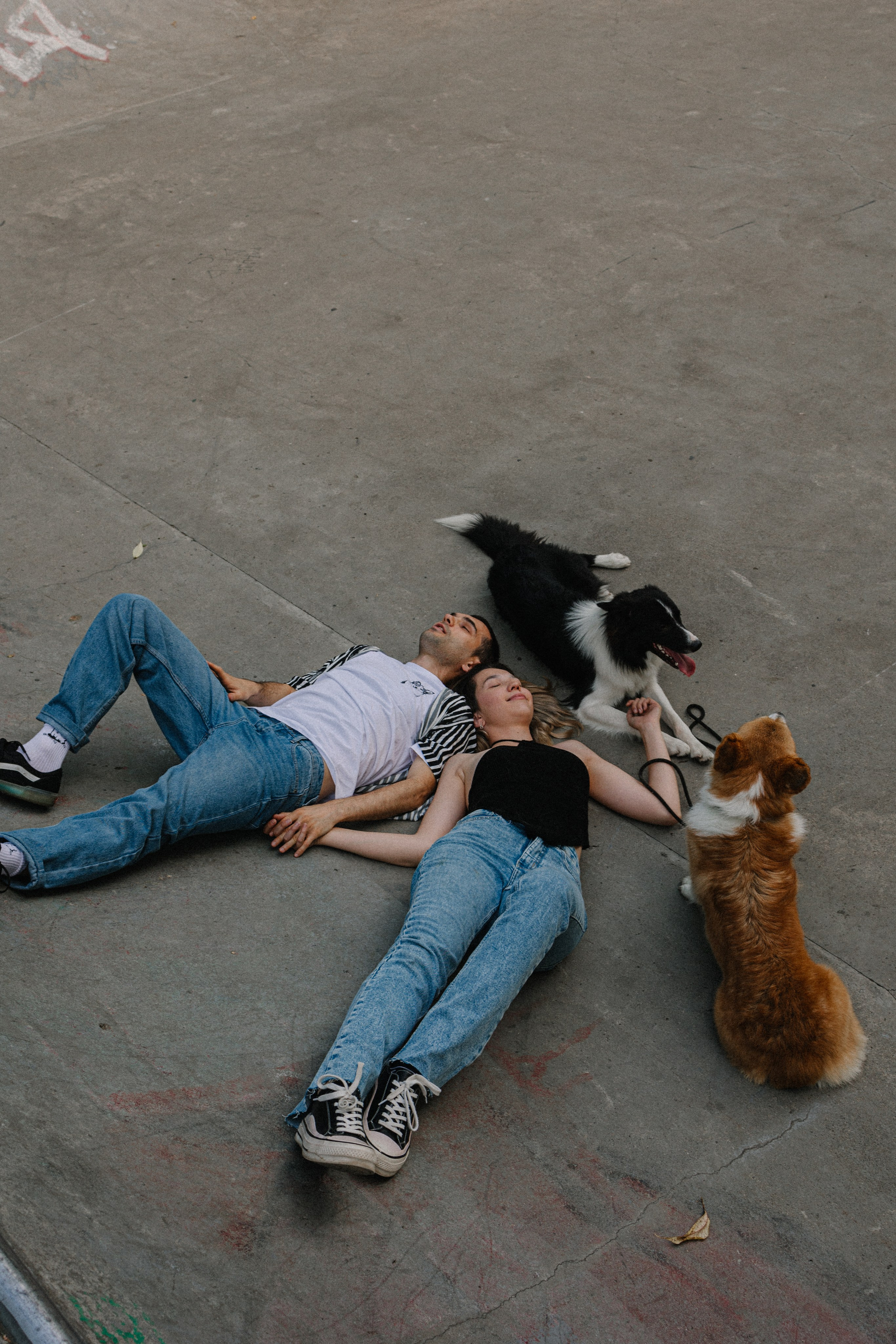 Брюс, Вейв и их ро. Фотораф — анималист Мария Шистка