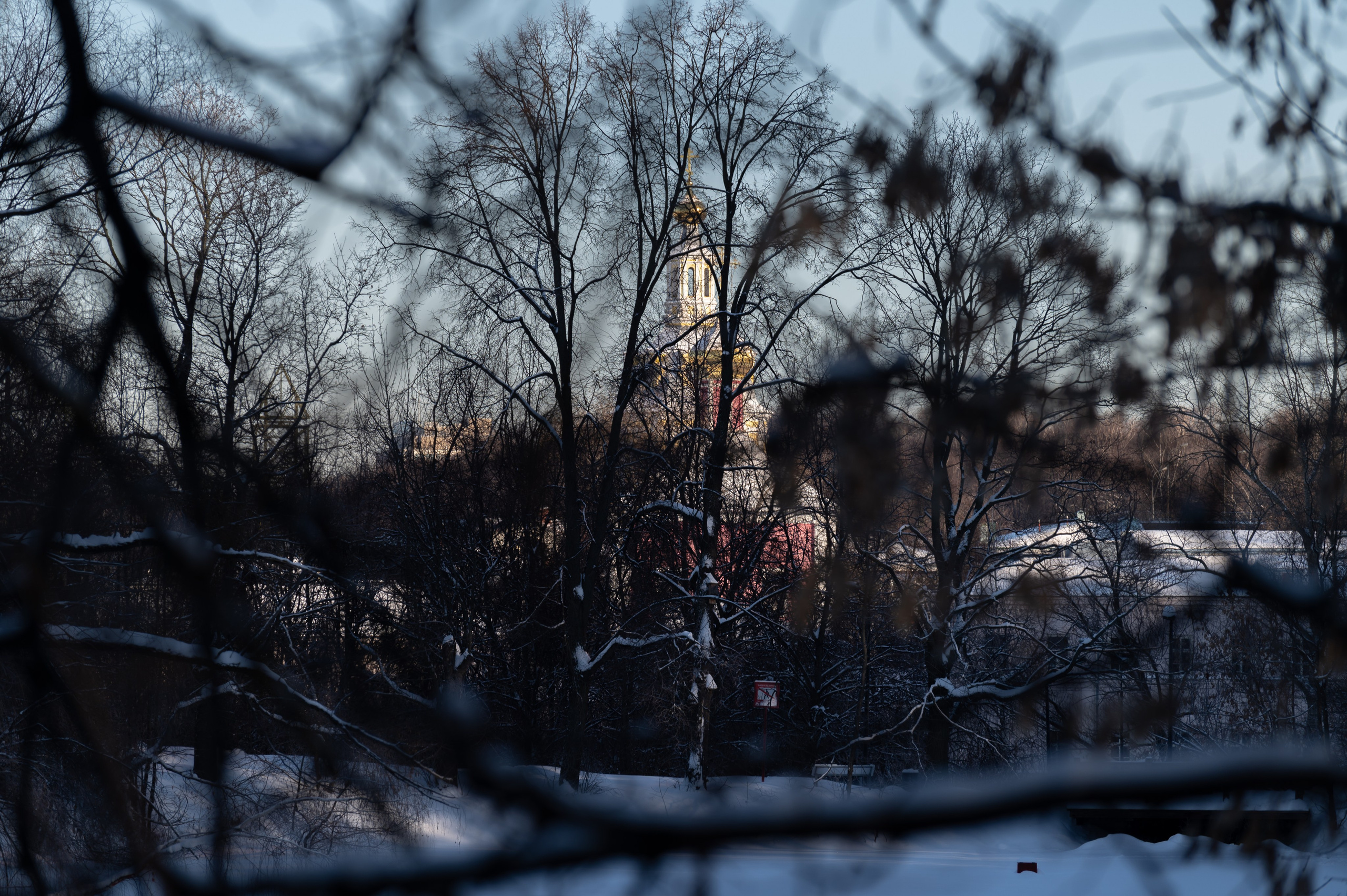 20240120 Воробьёвы горы. Дмитрий Ремизов. Фотография, как хобби
