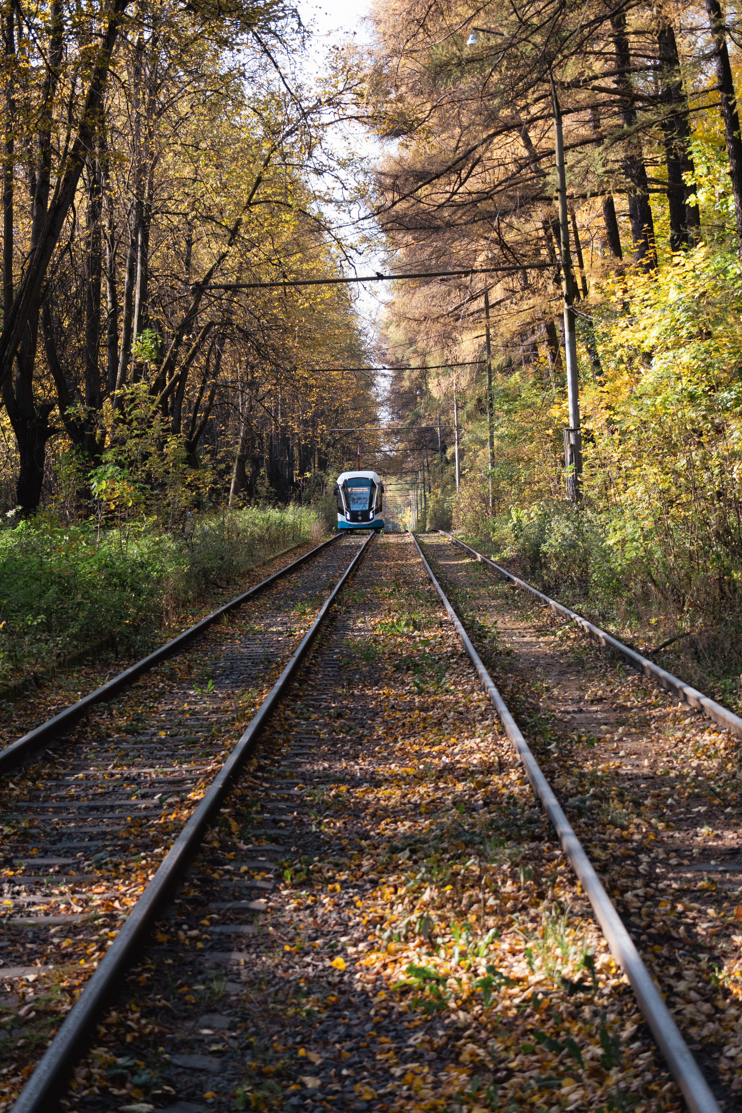 20241012 Измайлово. Дмитрий Ремизов. Фотография, как хобби