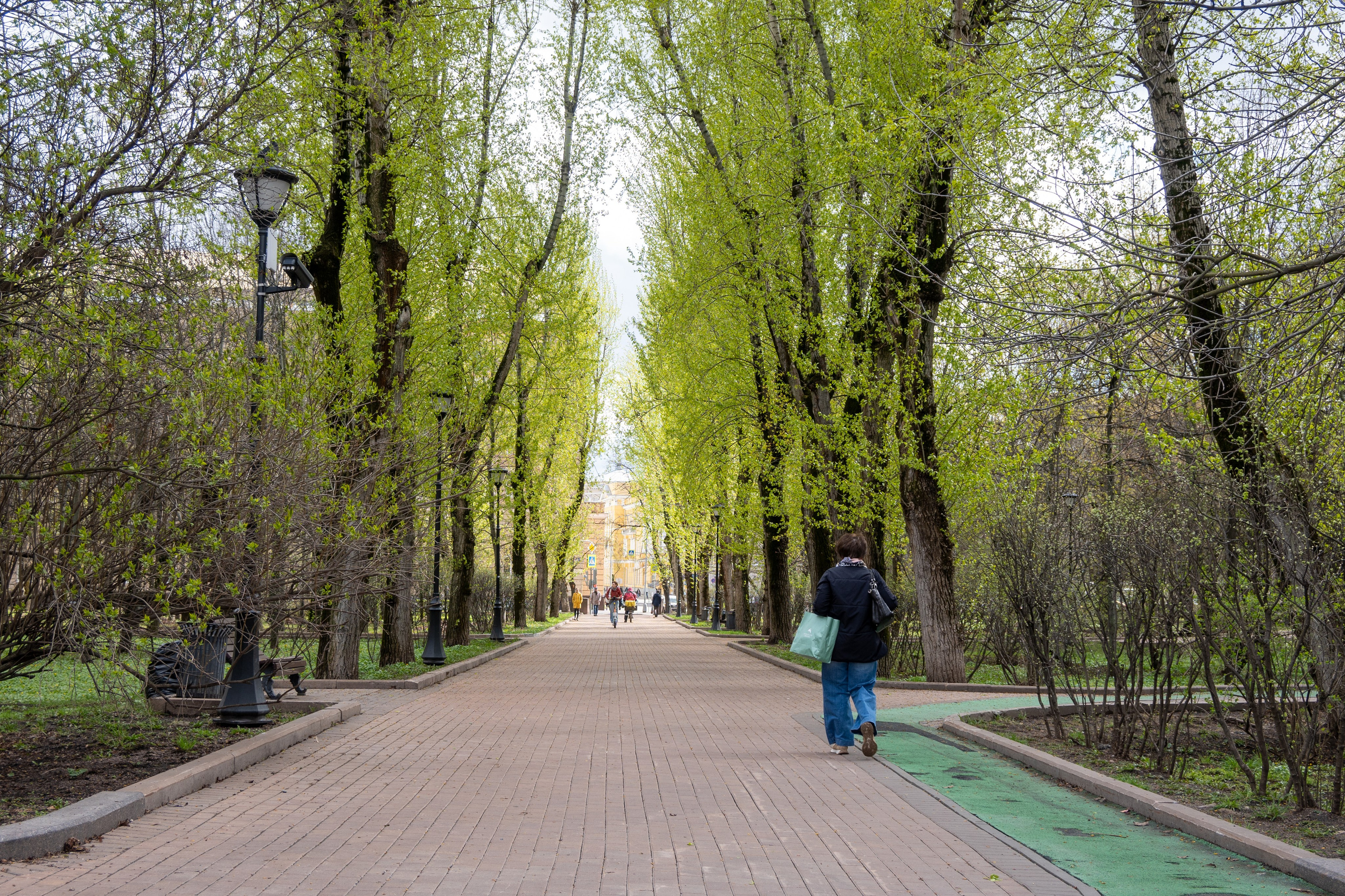 20240419 Хамовники. Дмитрий Ремизов. Фотография, как хобби