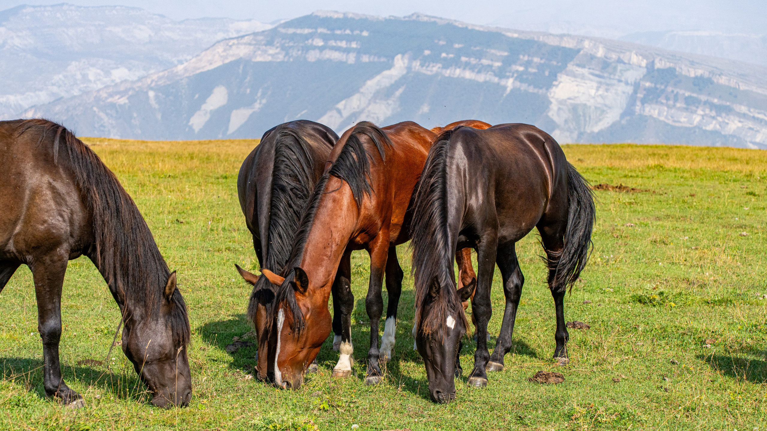Дагестан. Фотограф в Москве. Шахабудин