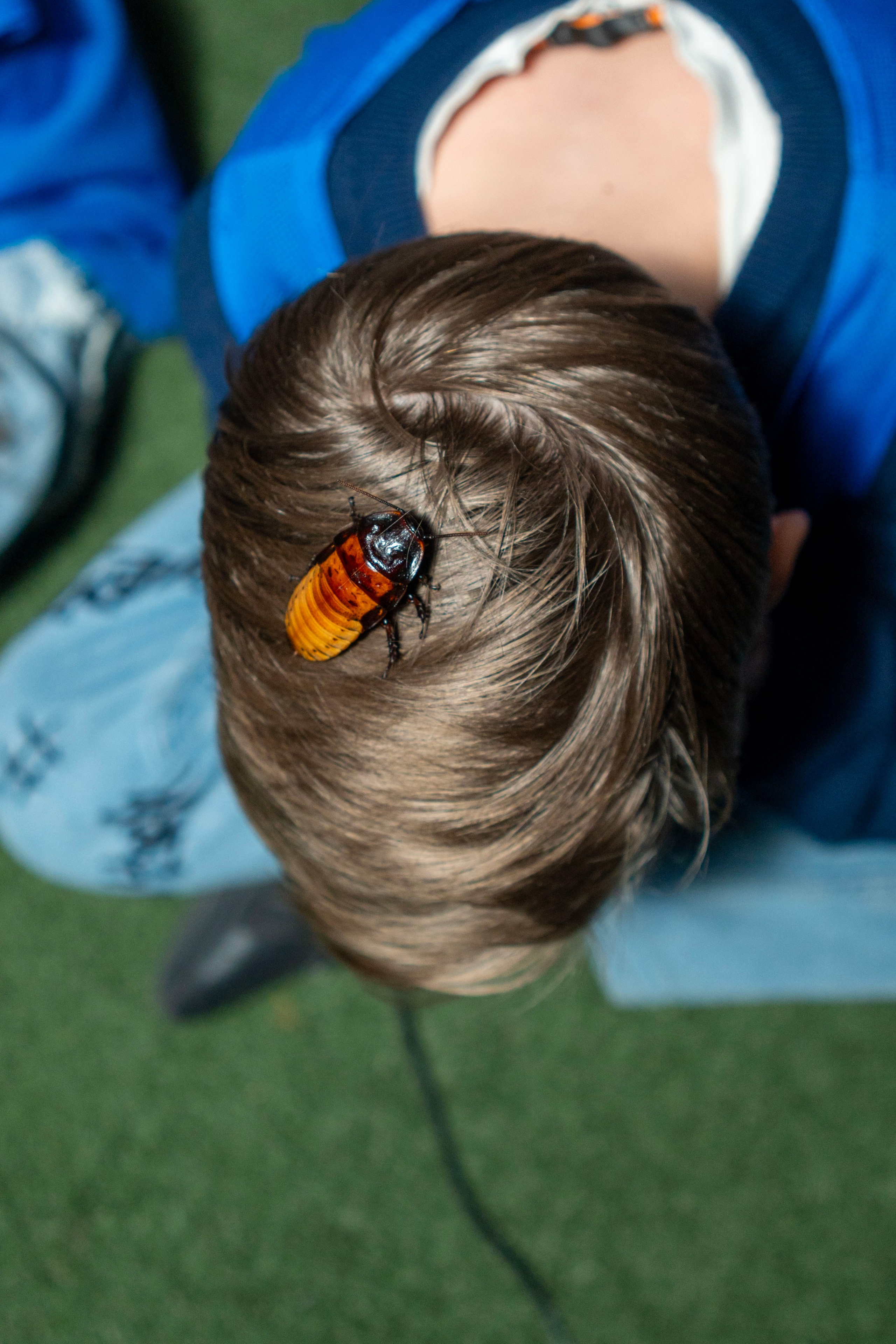 Квесты. Фотограф Юлия Попова