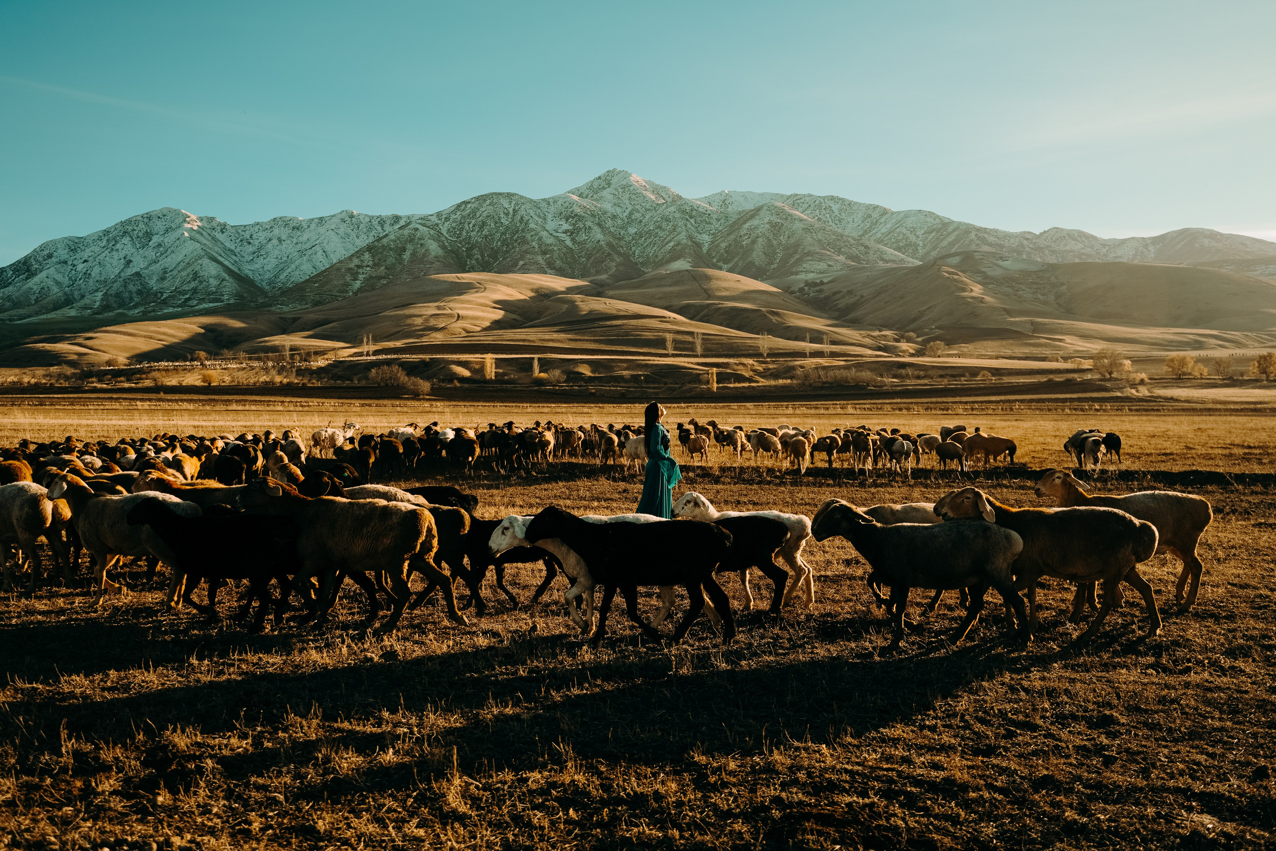 Портфолио. Фотограф и видеограф Москва