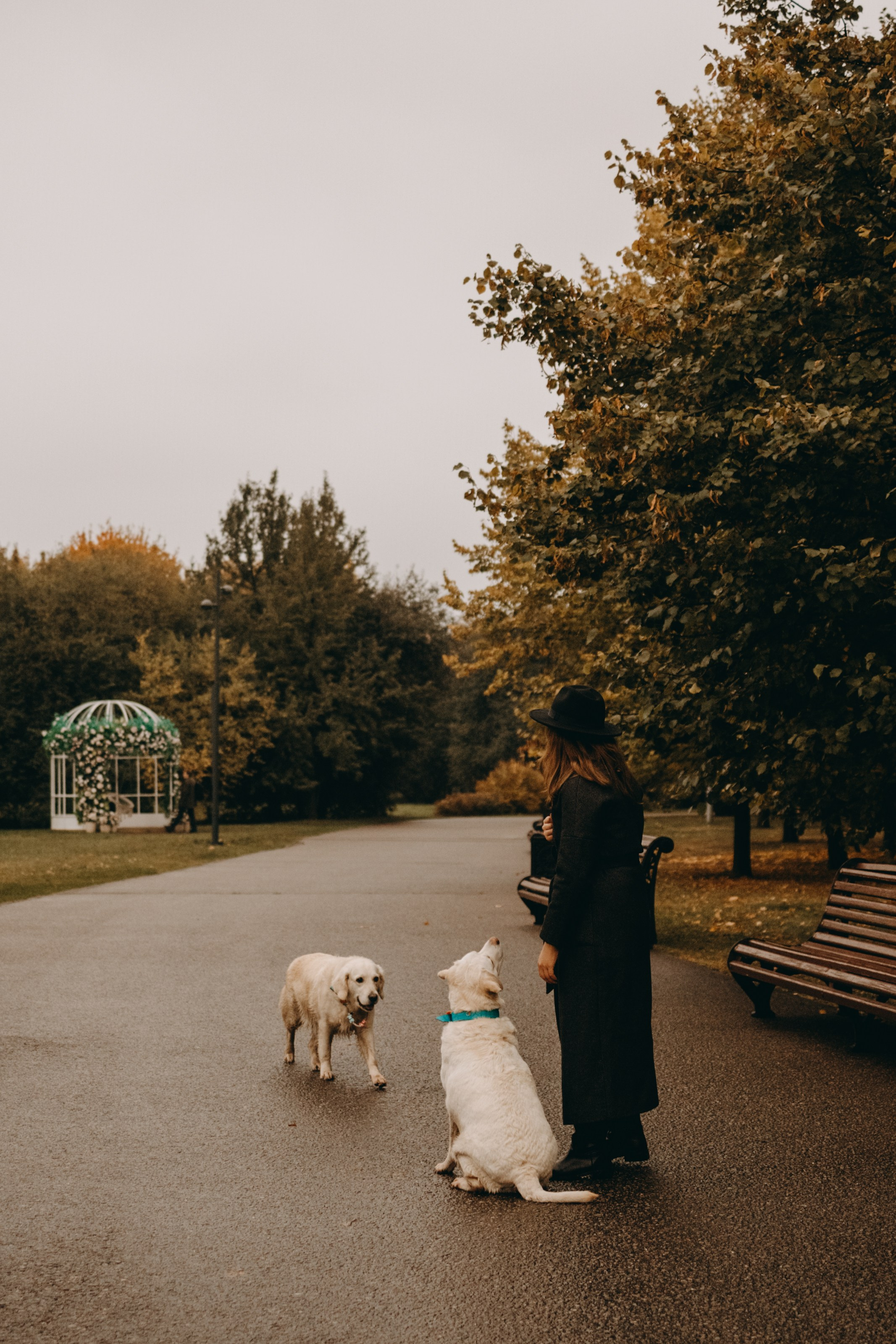 Женя и ее девочки. Фотограф — Анималист | Санкт-Петербург
