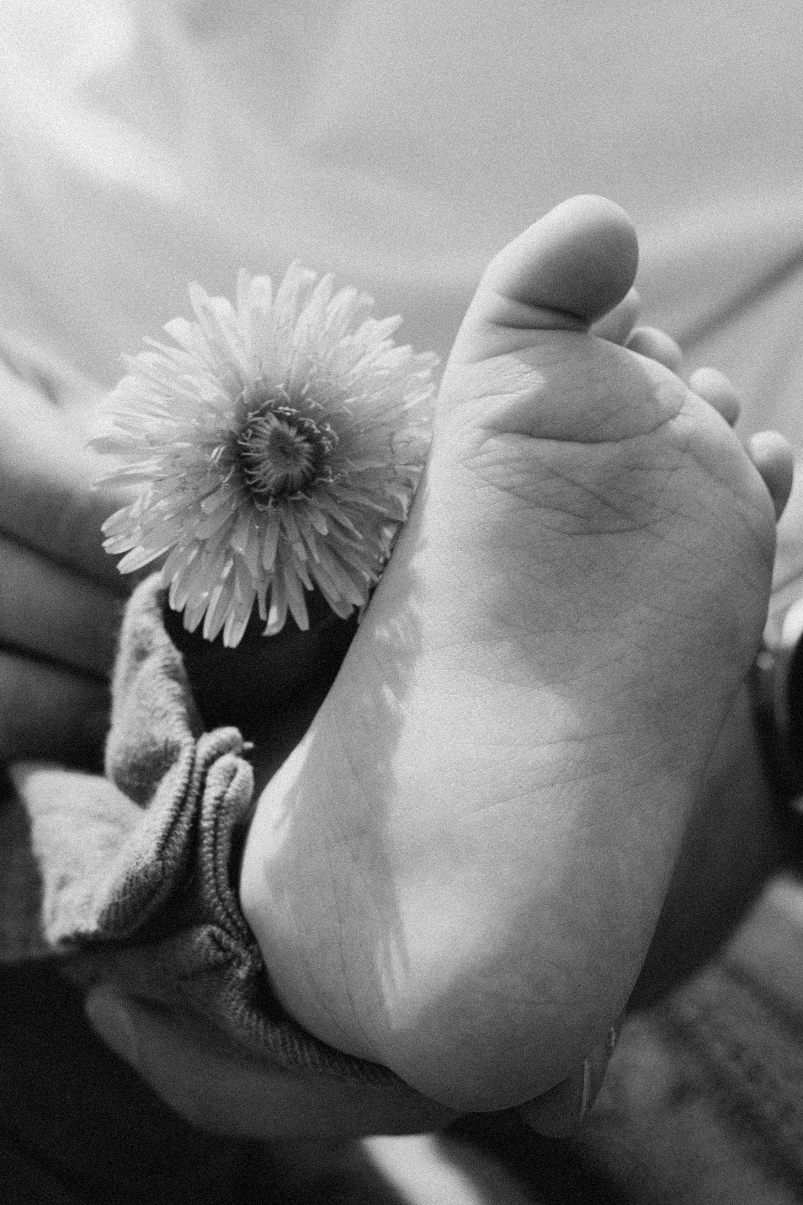 Семейные фотосессии. Киселева Алёна семейный фотограф в городе Владимир