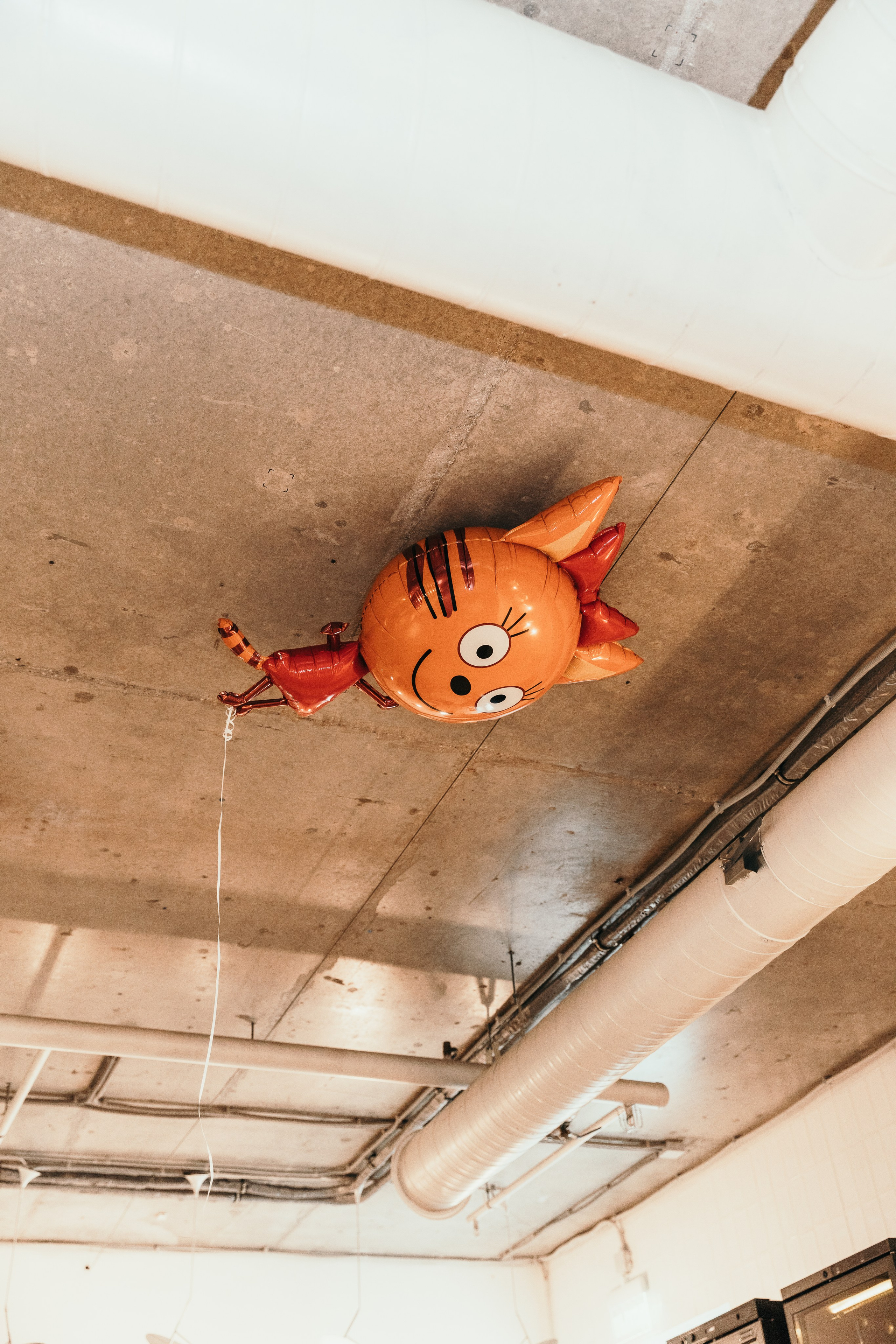 Катя, Little Kids Play Cafe. Свадебный фотограф | Москва