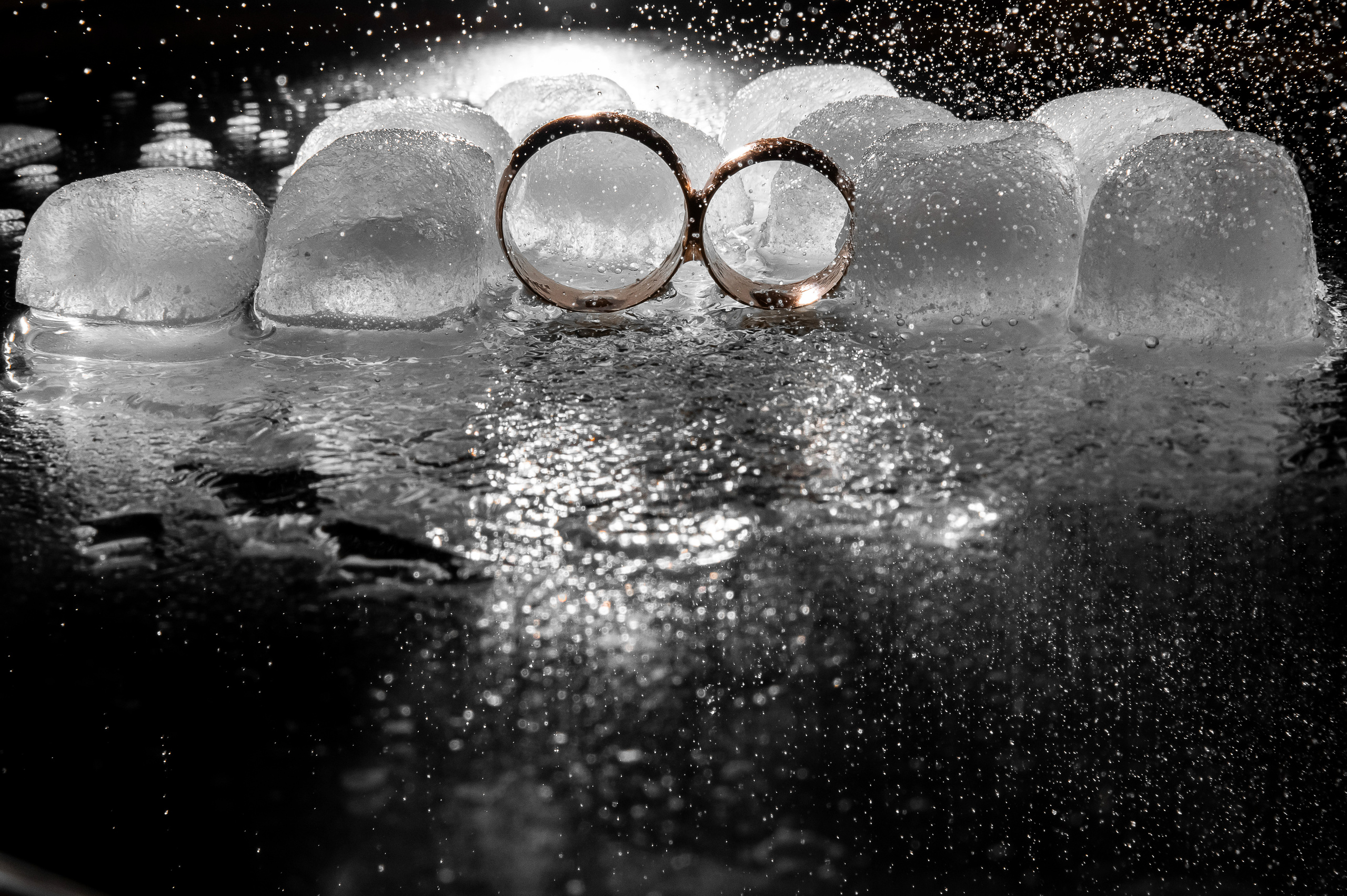 Свадебный фотограф Ростов-на-Дону Сочи