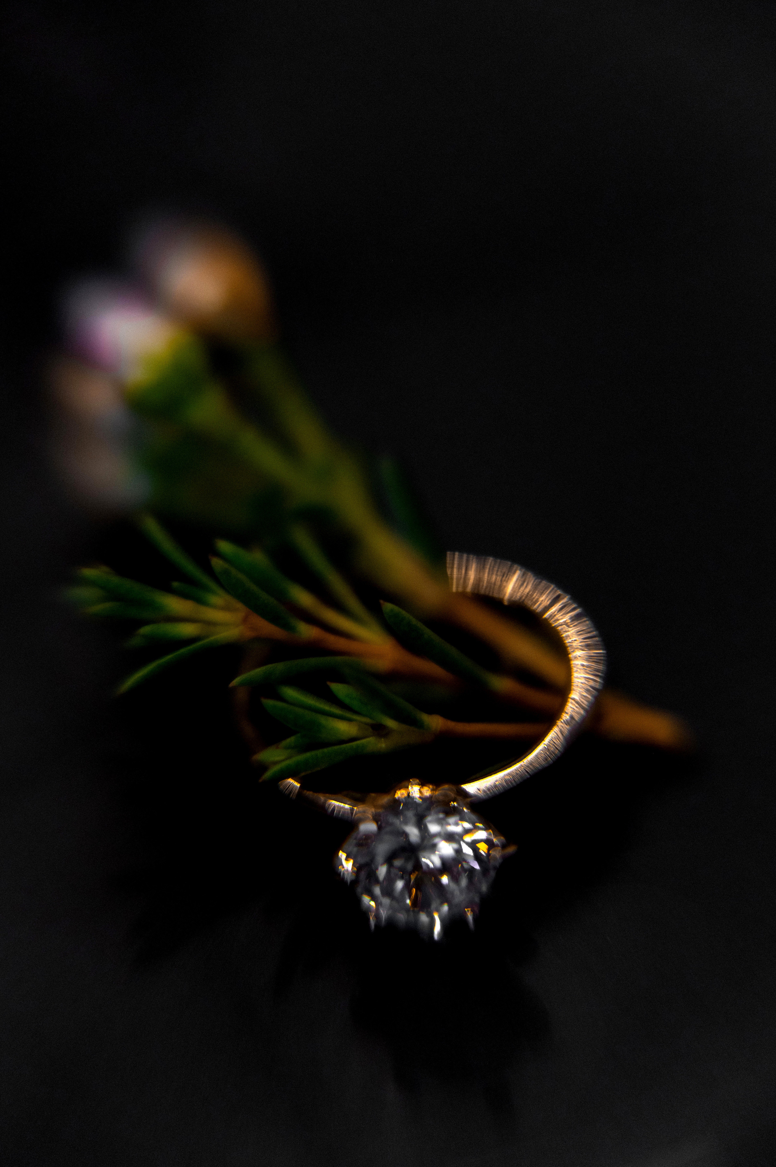 Свадебный фотограф Ростов-на-Дону Сочи