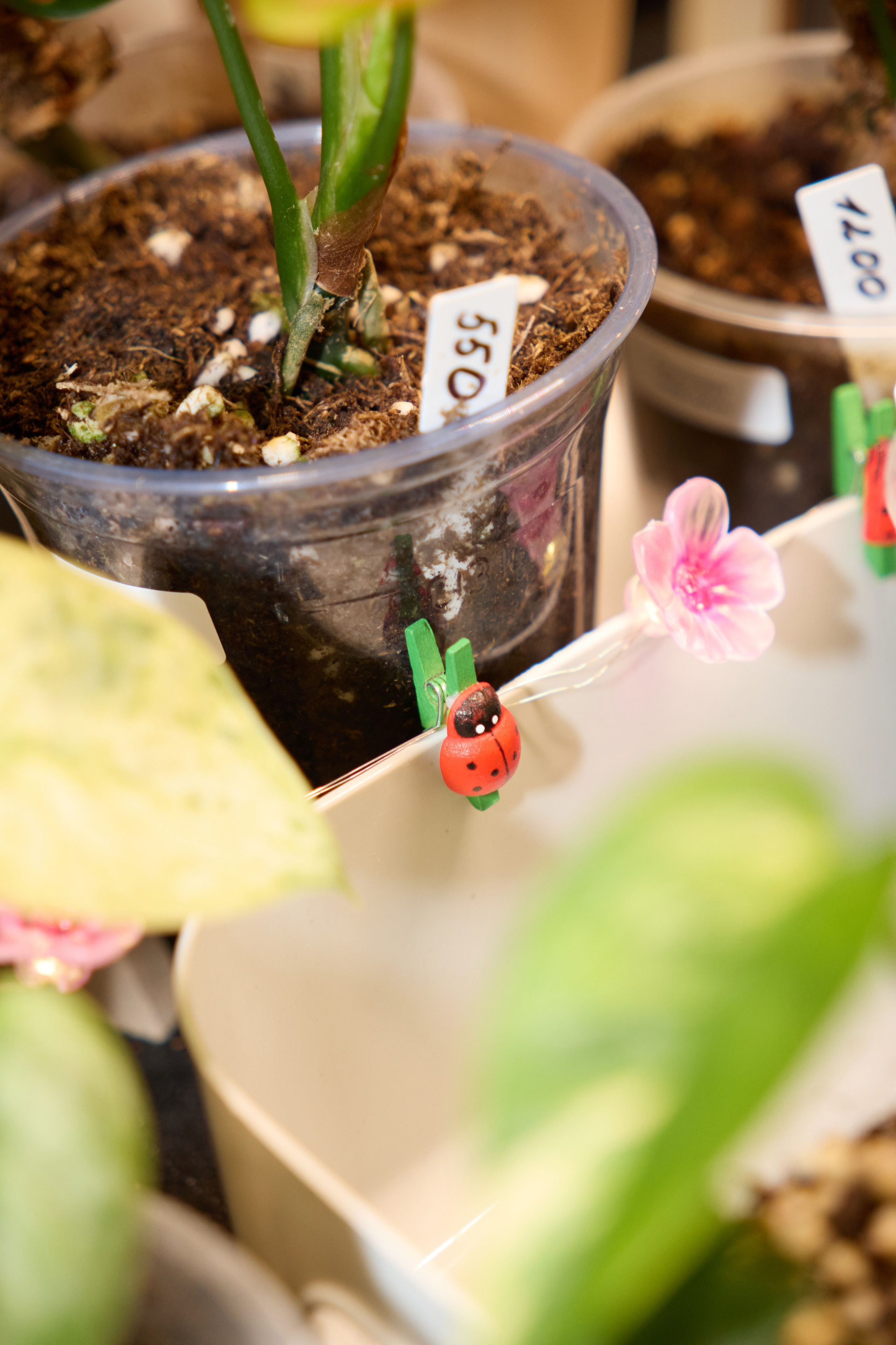 Цветочная ярмарка