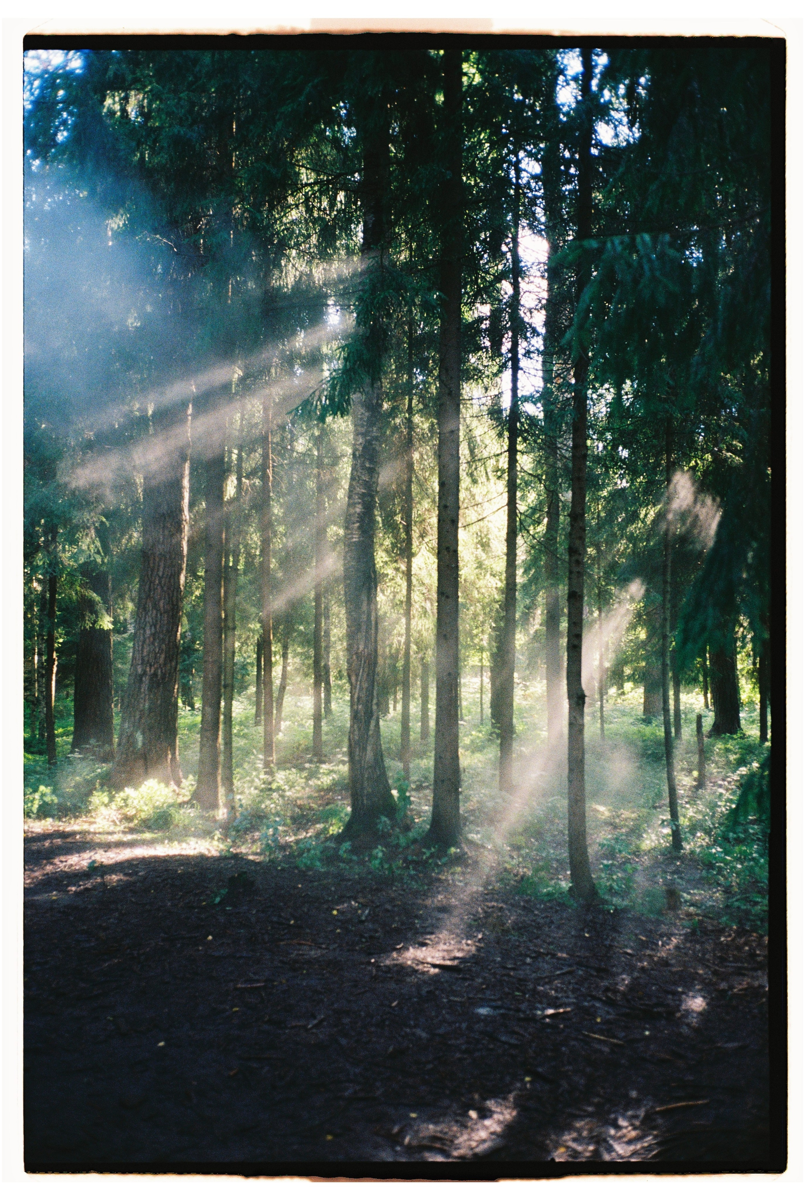 Outline 2024. @tomrus: Рустам Шагиморданов — фотограф