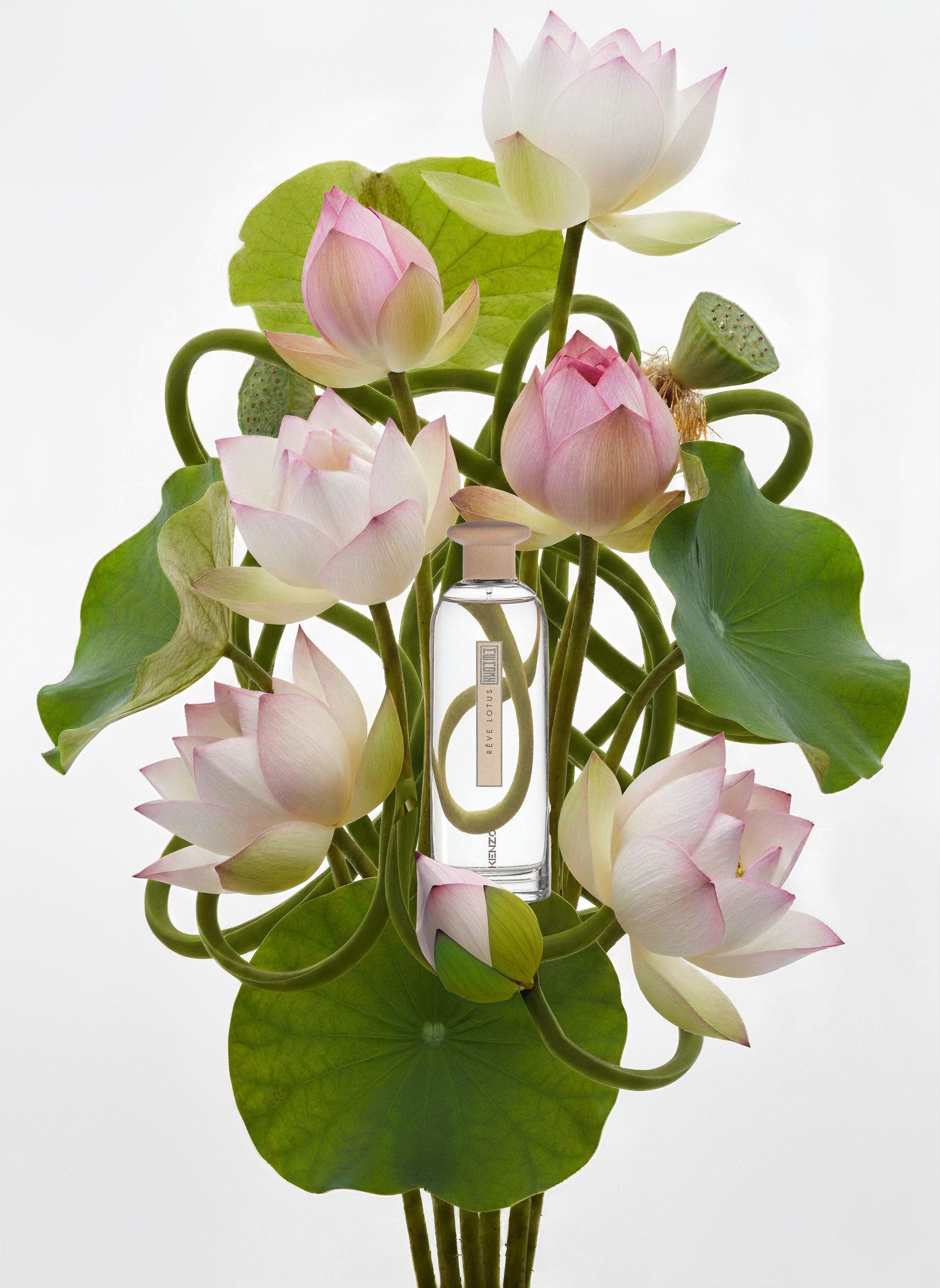 Предметная съёмка для сайтов и маркетплейсов. Регина Зебра — предметный фотограф Москва Подольск | Съёмка для маркетплейсов и соцсетей