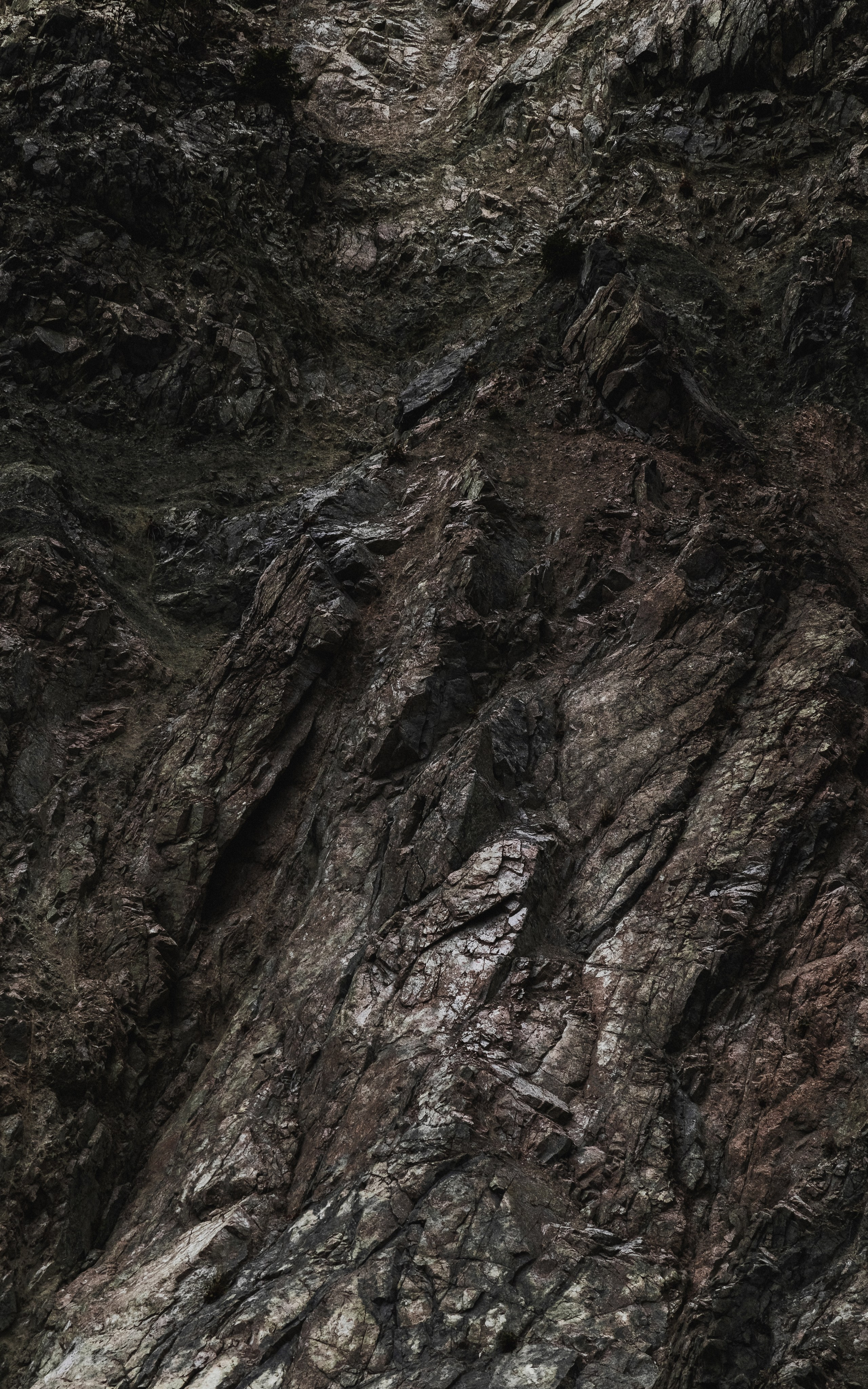 Жизнь. Фотограф Алматы | Весь мир — Никита Колодин