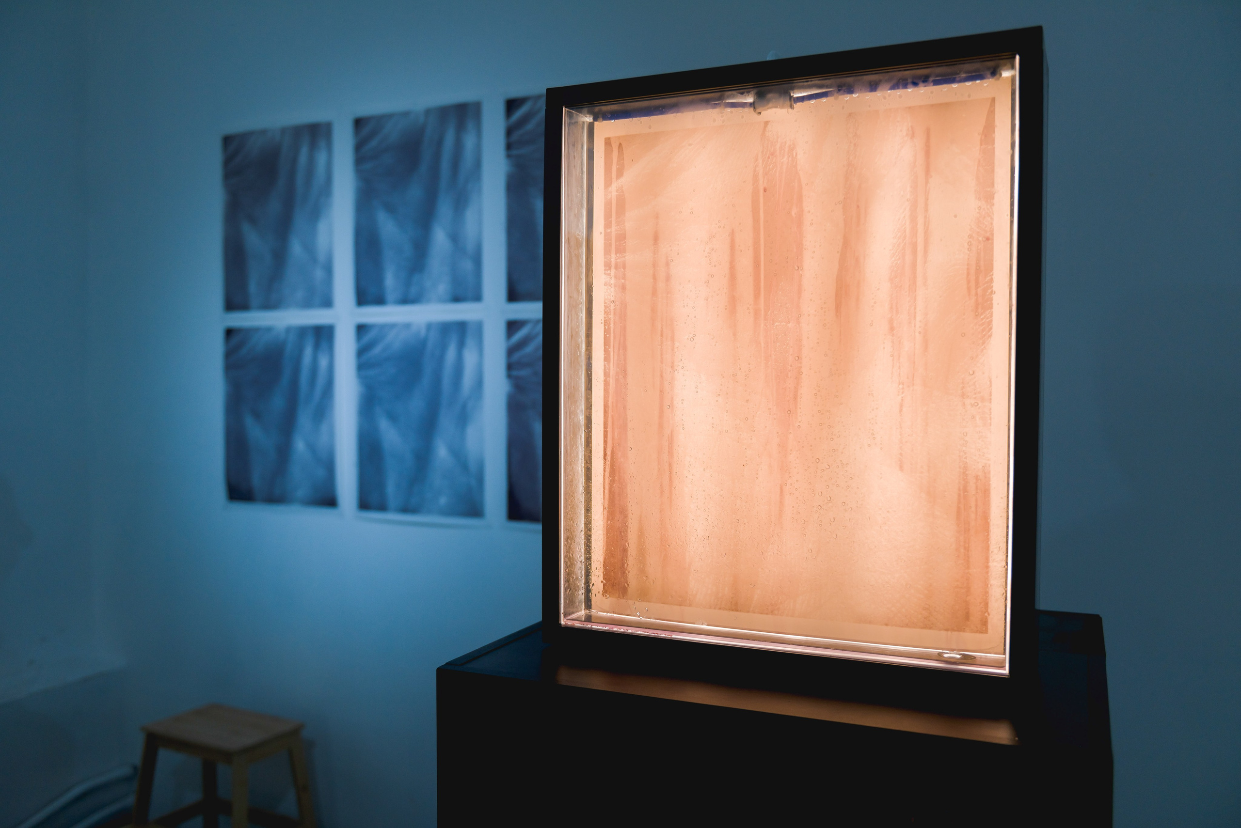 Выставки. Фотограф Руслан Хафизов