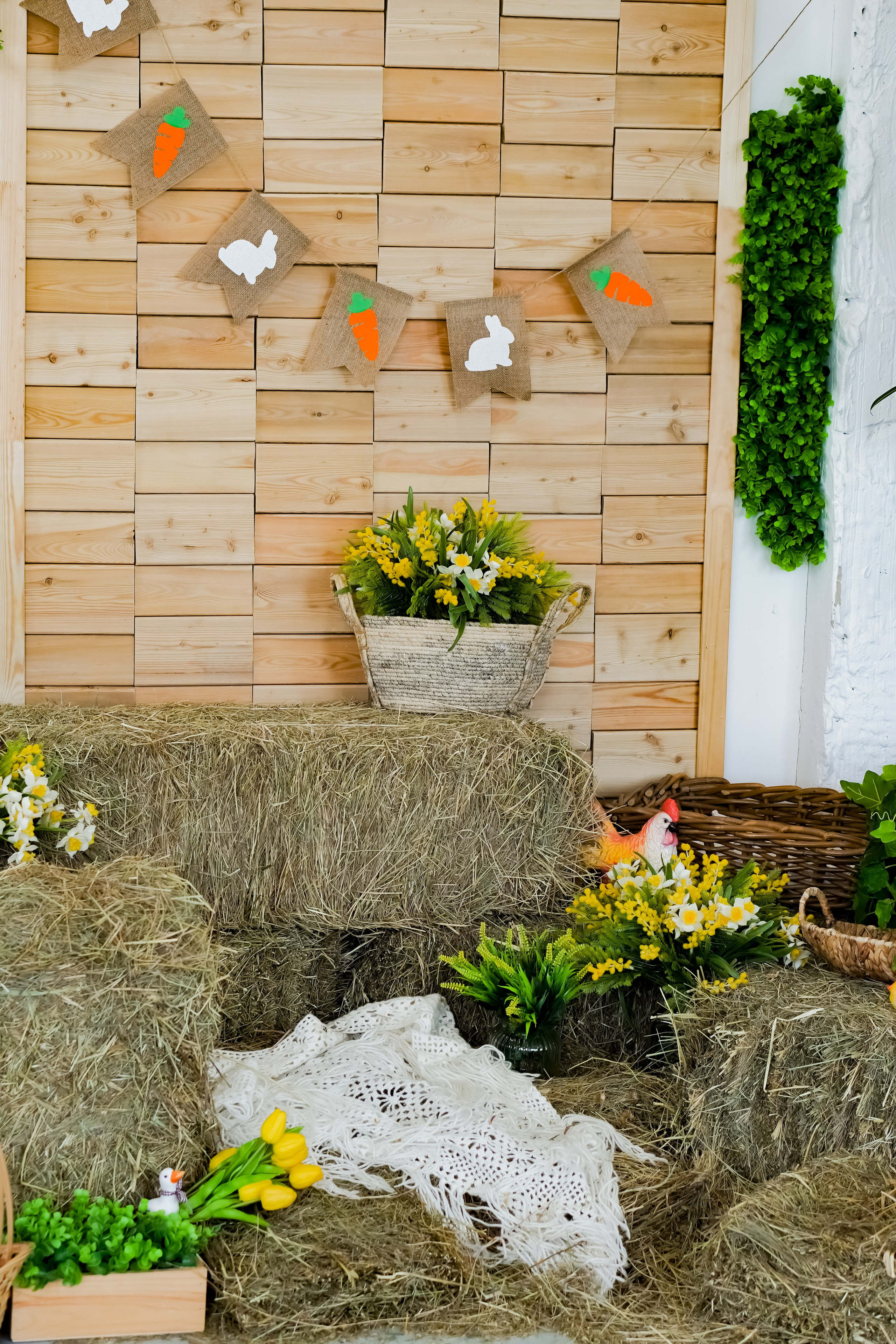 Зал Life фотостудия Импульс. Фотостудия в Саратове. Фотограф в Саратове