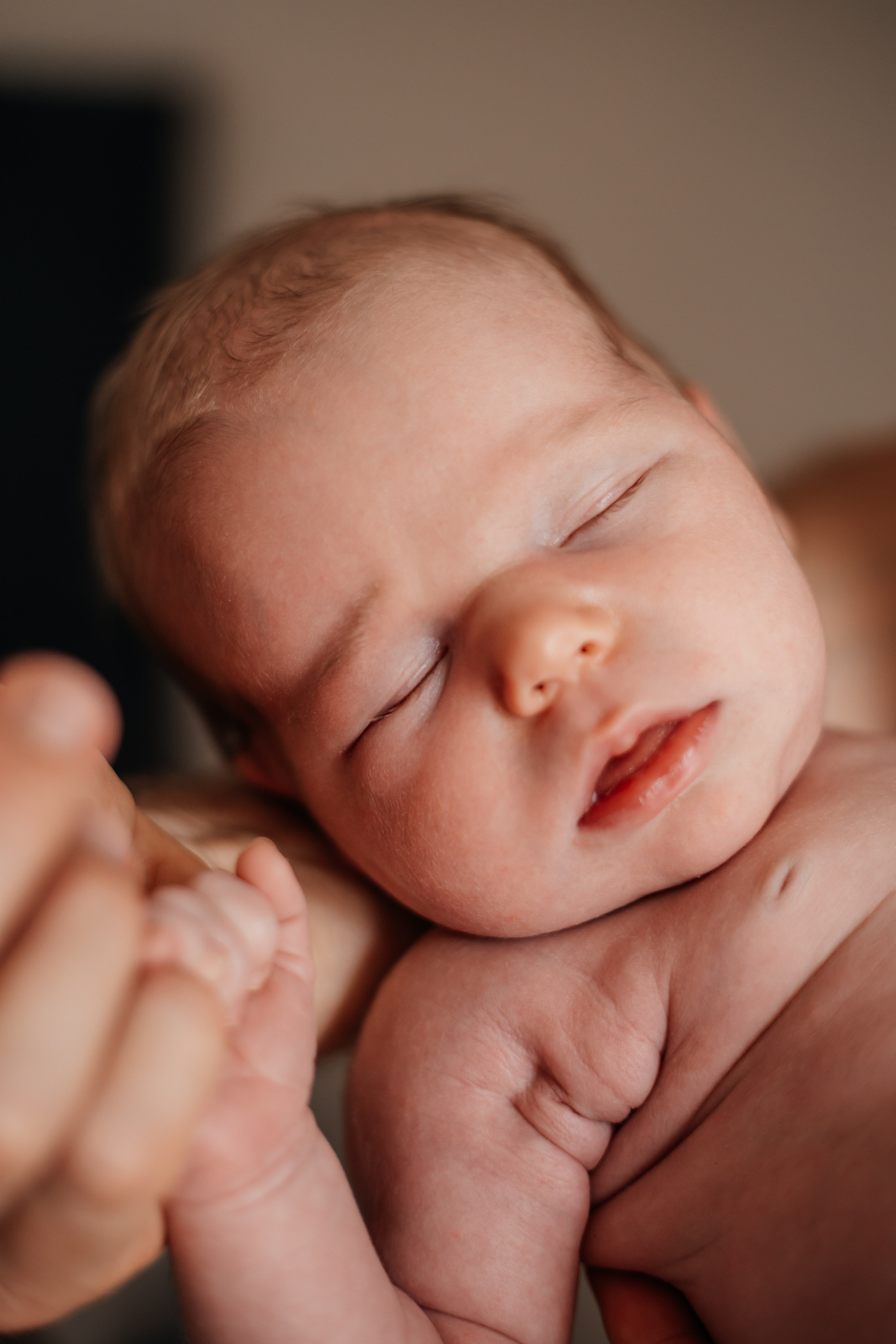 Анечка. Семейный фотограф Виктория Потехина Москва