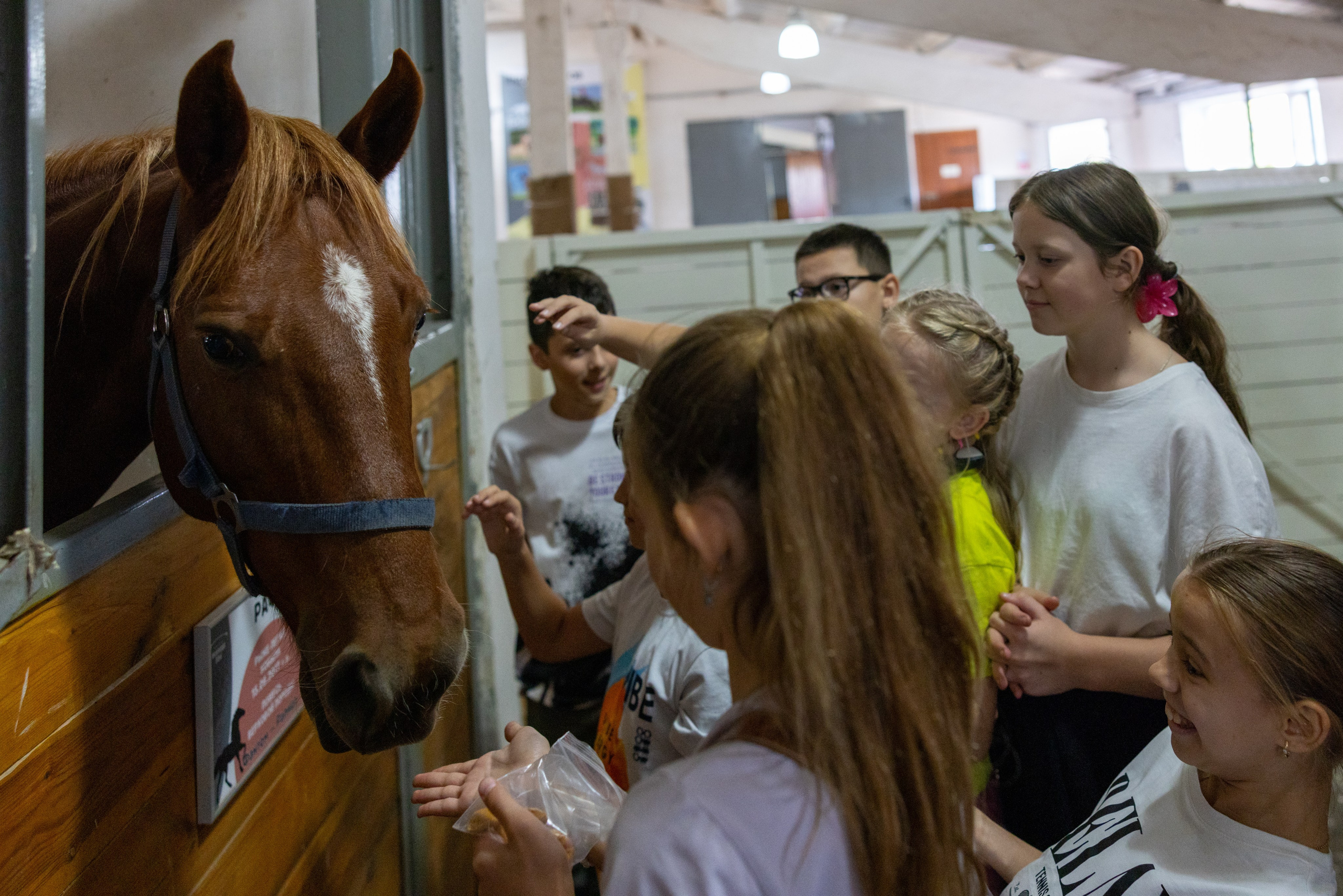 Поездка на поле Кулеково. Фотограф в Туле Крупский АнДРей. Фотостудия «КАДР71» в Туле