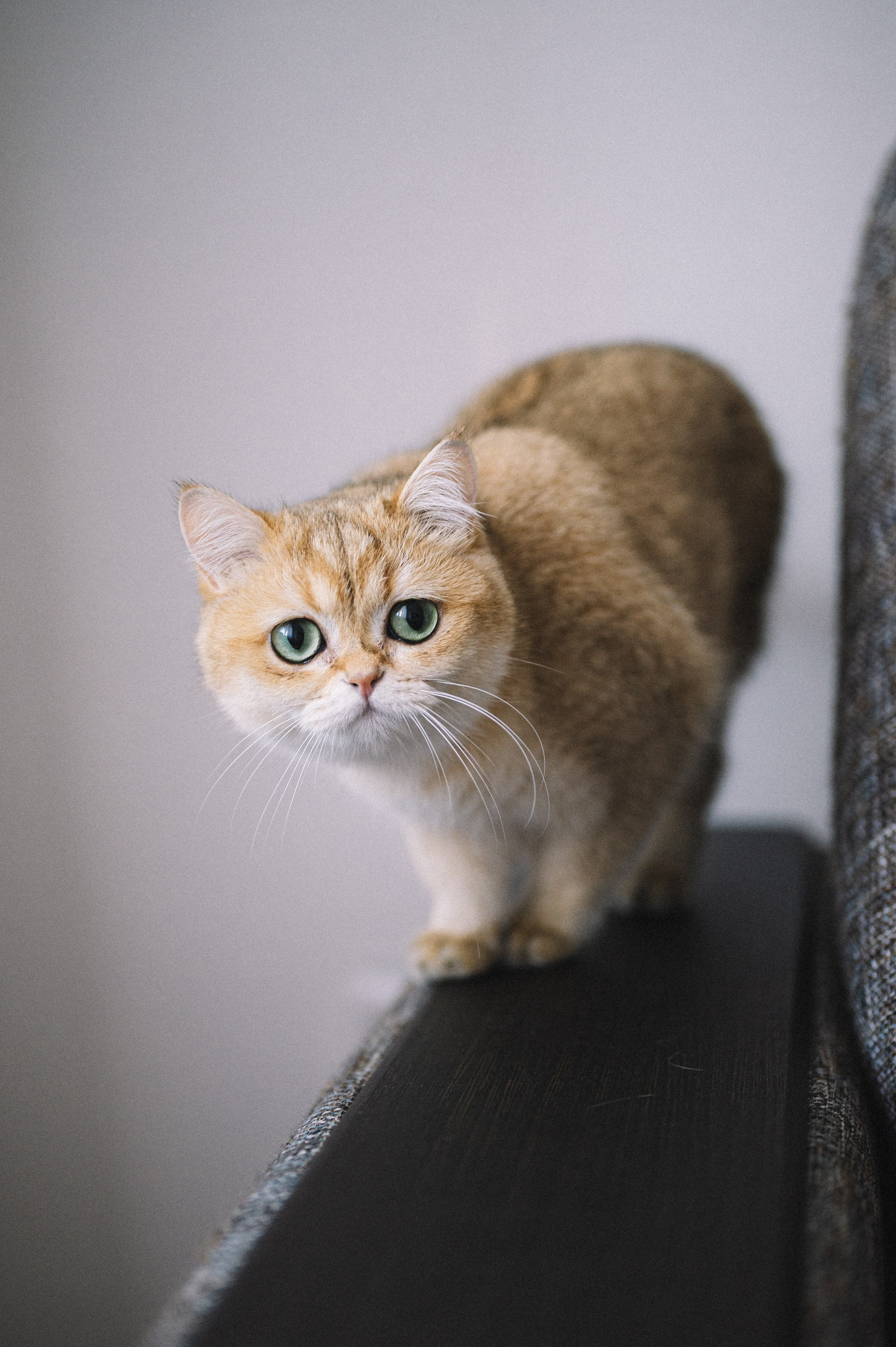 Садовниковы дома. Фотограф Иркутск Лепетанова Марианна