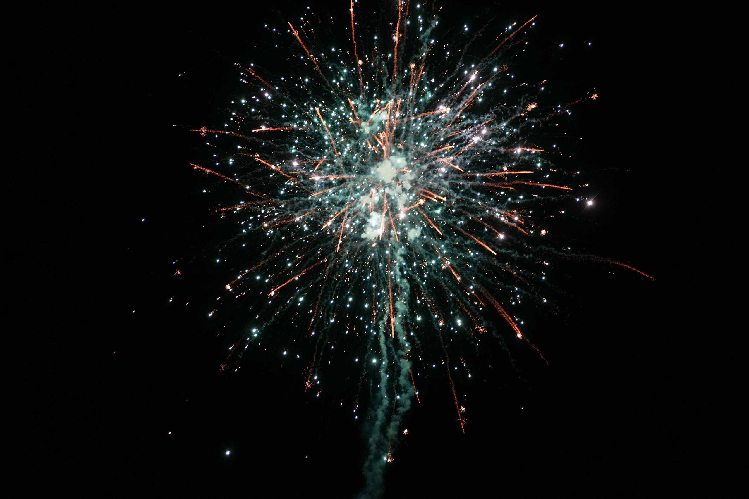 Анкар. Семейный и свадебный фотограф Минск, Беларусь Анна Орловская
