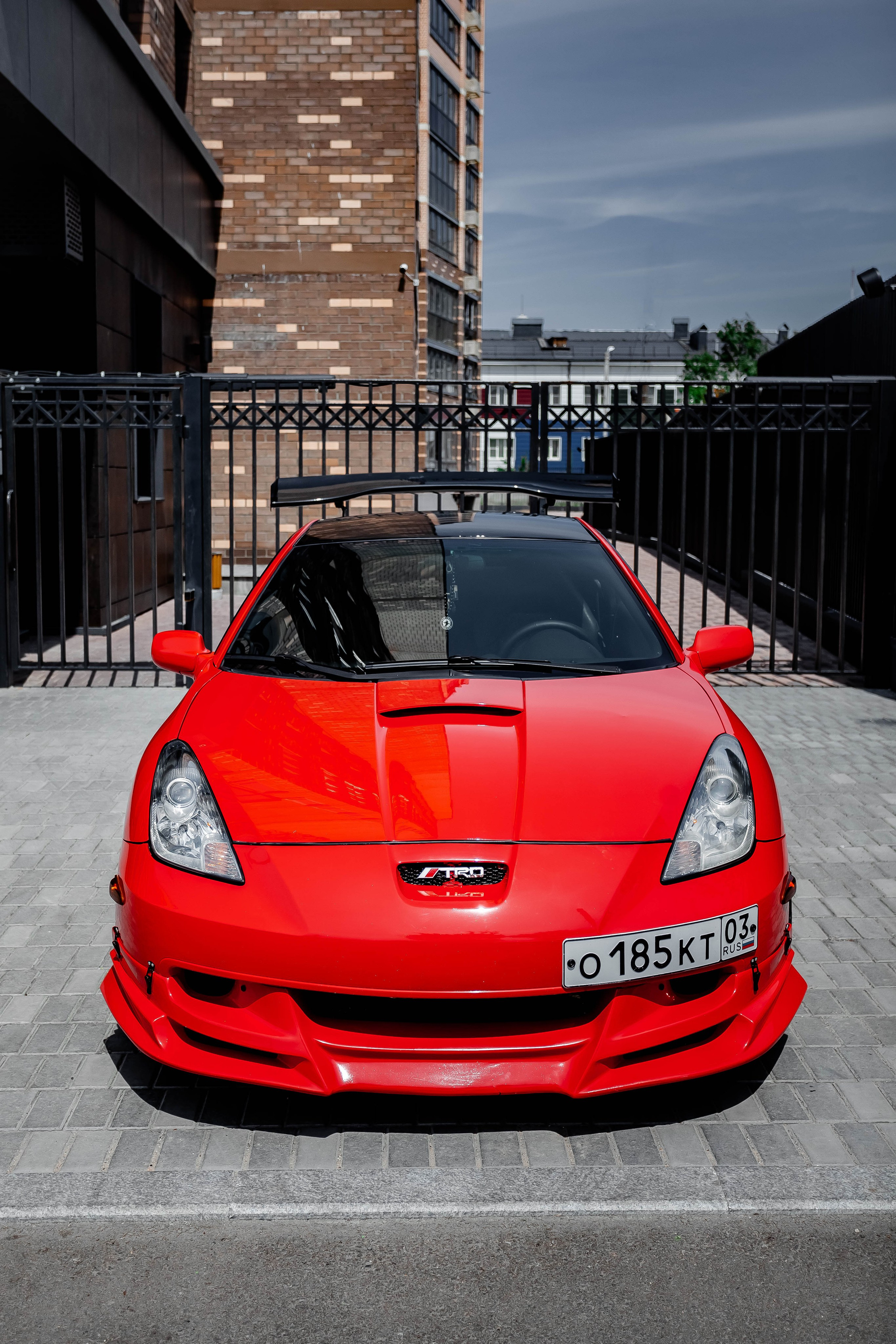 Celica. SHDEN — Photographer | Content Creator