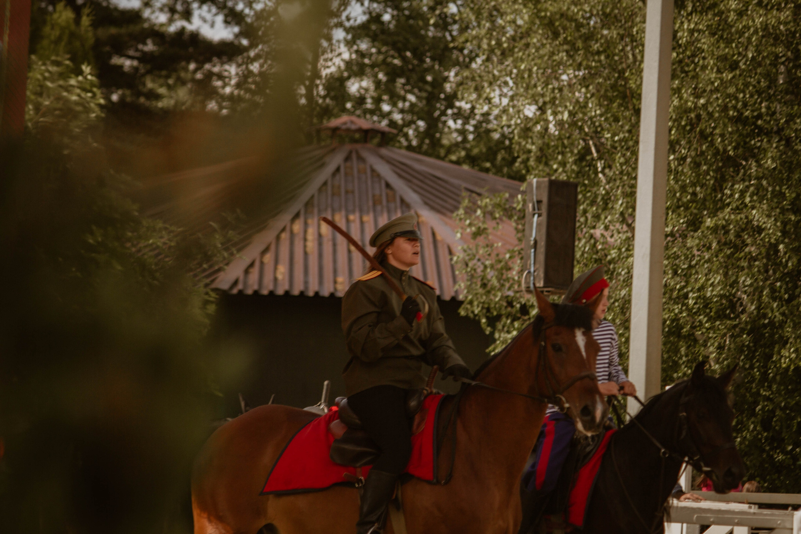 ИППОСФЕРА — Международная конная выставка. Создадим шедевр? Виталина и её фотоискусство