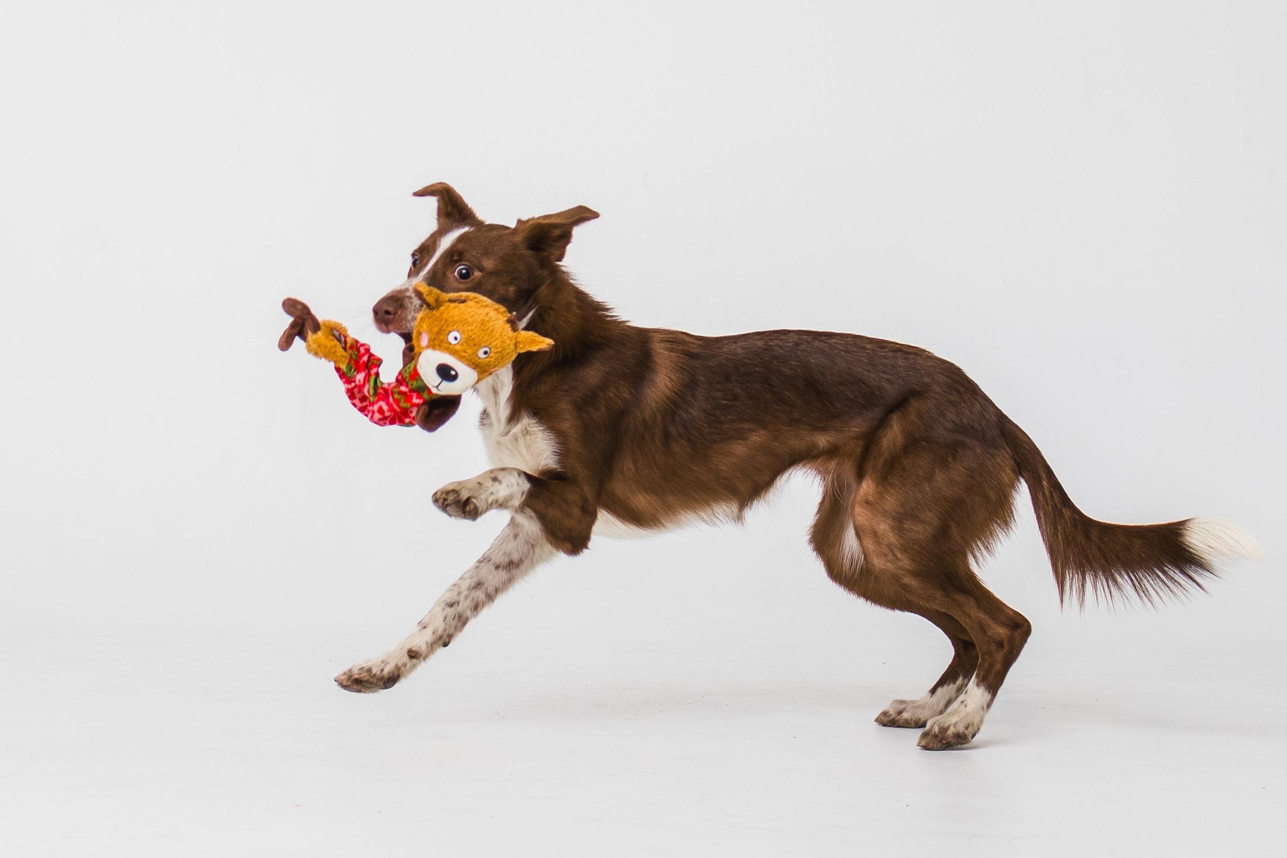 Воркшоп по импульсному свету