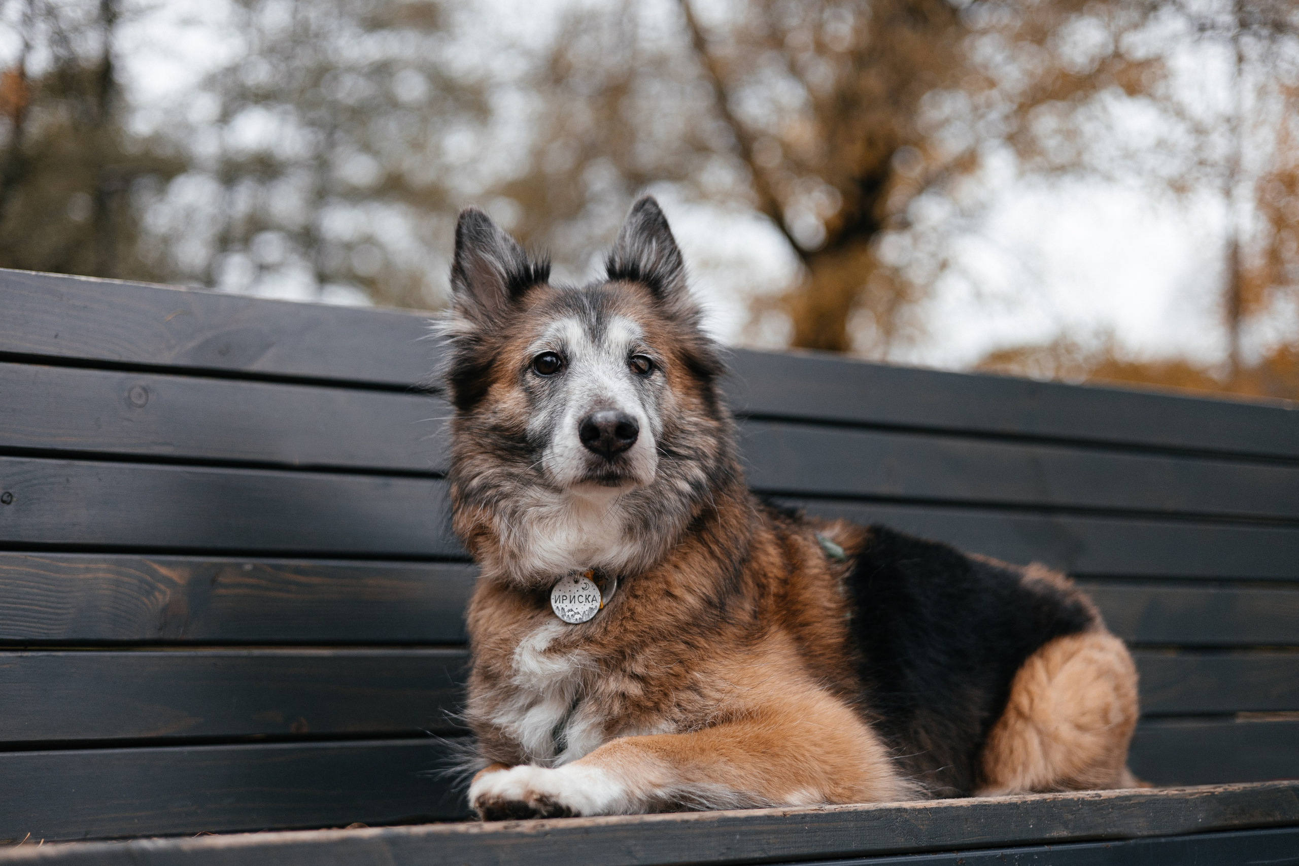 Аня и Ириска. Фотограф Анна Луценко Москва