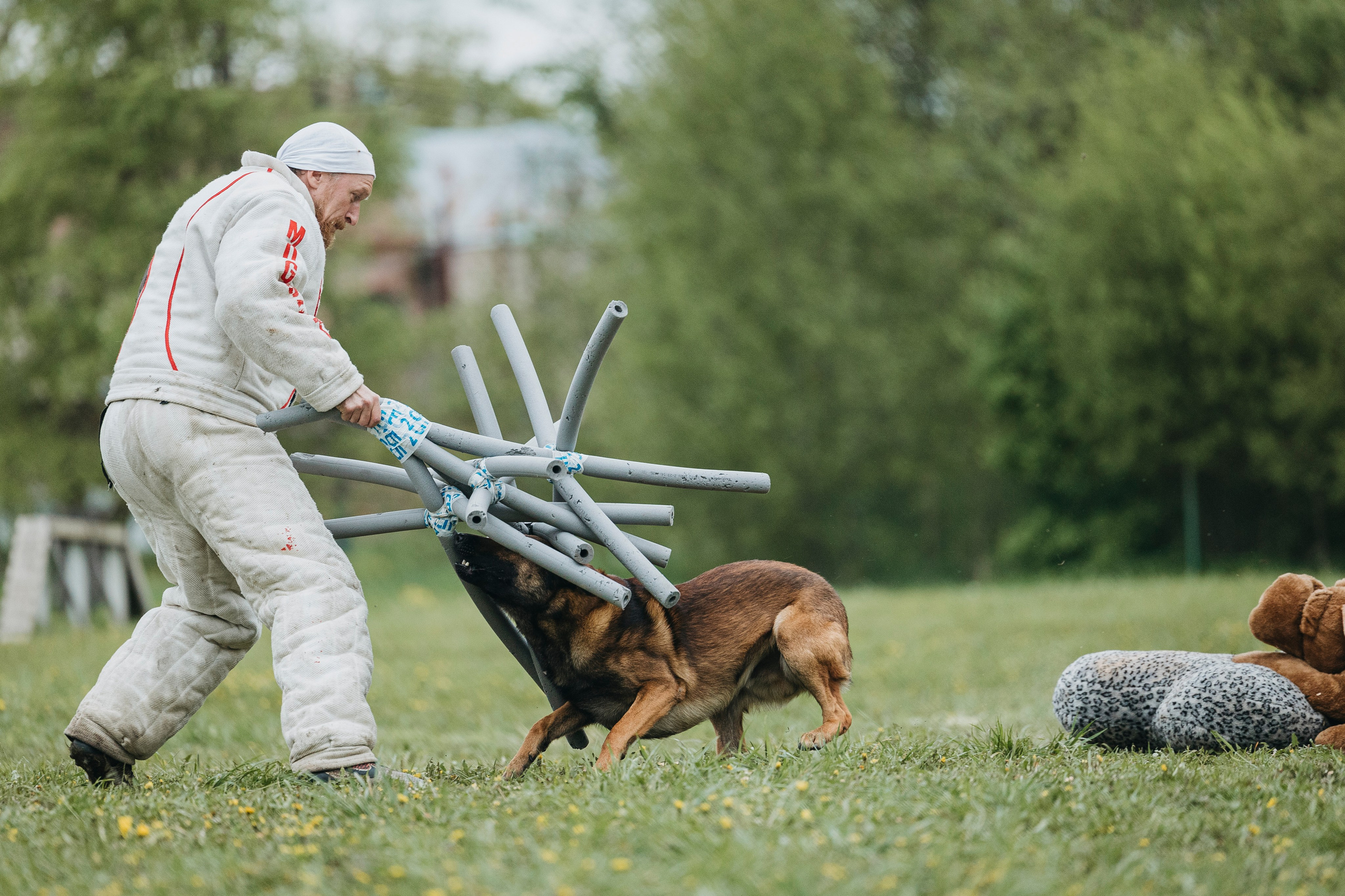 26.05.25 г. Пушкин квалификационные соревнования. Фотограф-анималист Анна Маринич