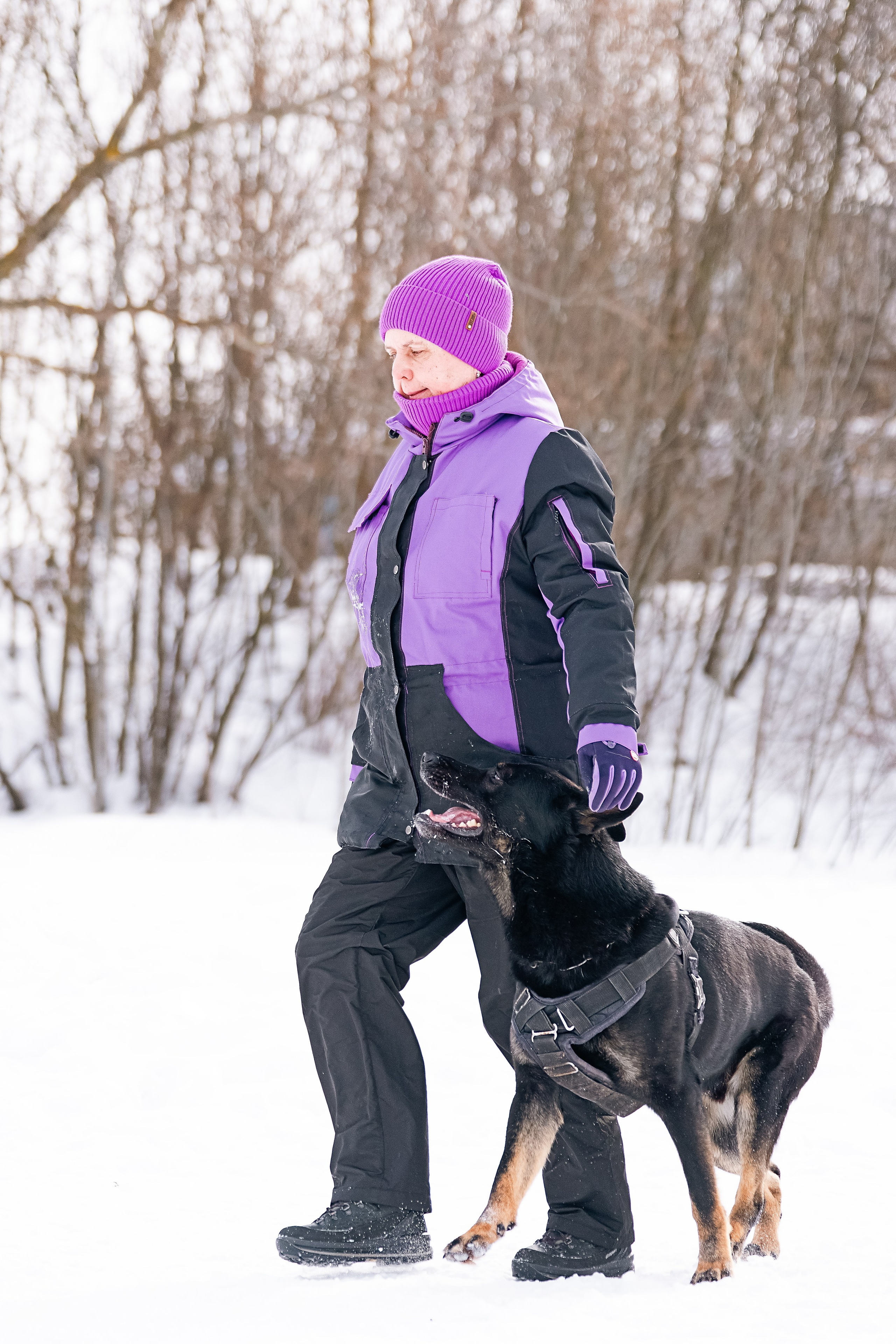 Репортажная съемка. Фотограф-анималист Нижний Новгород