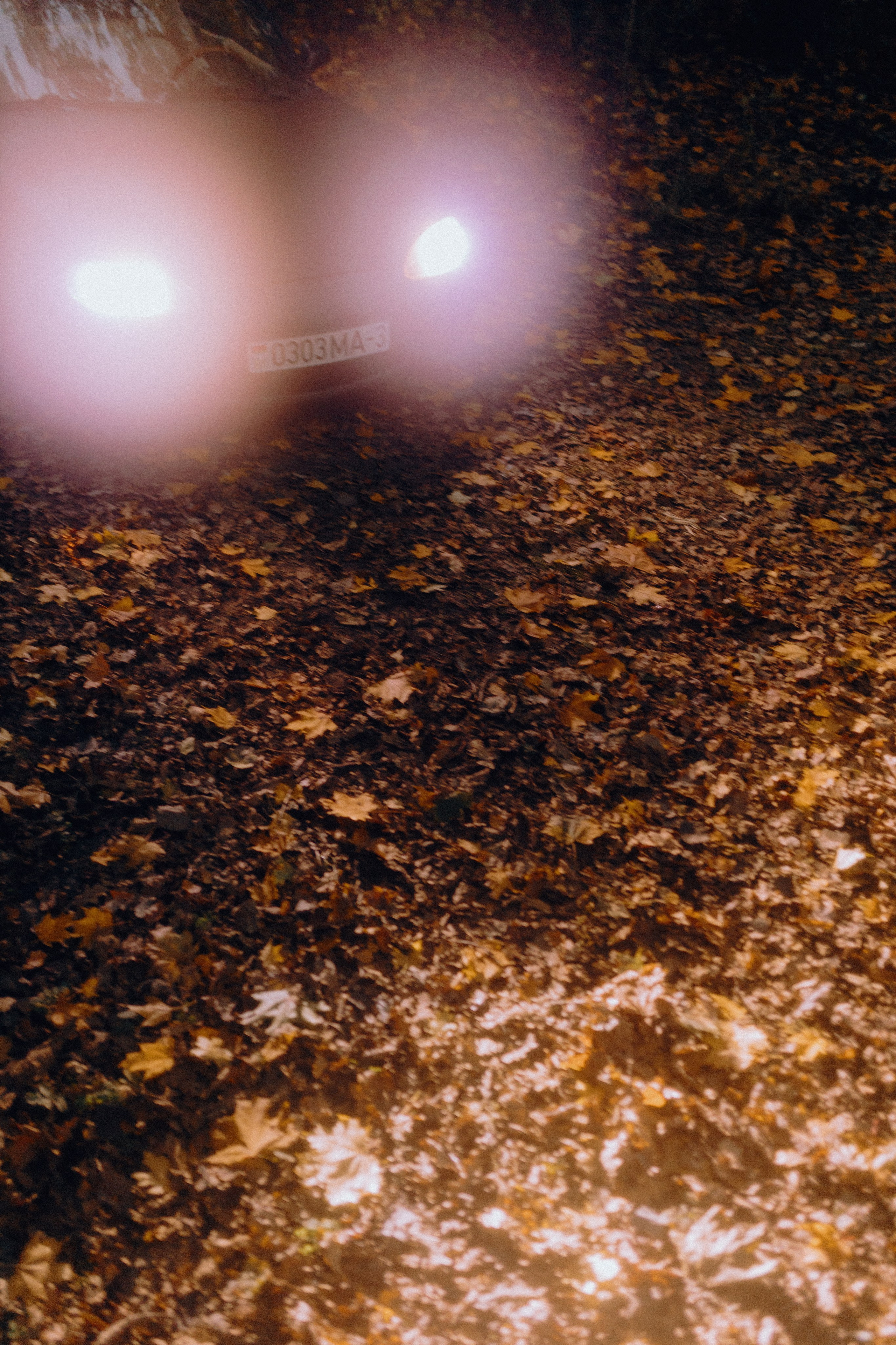 Лёха и Таня. Свадебные фотографы в Гомеле и Минске Сергей и Анастасия Фещенок