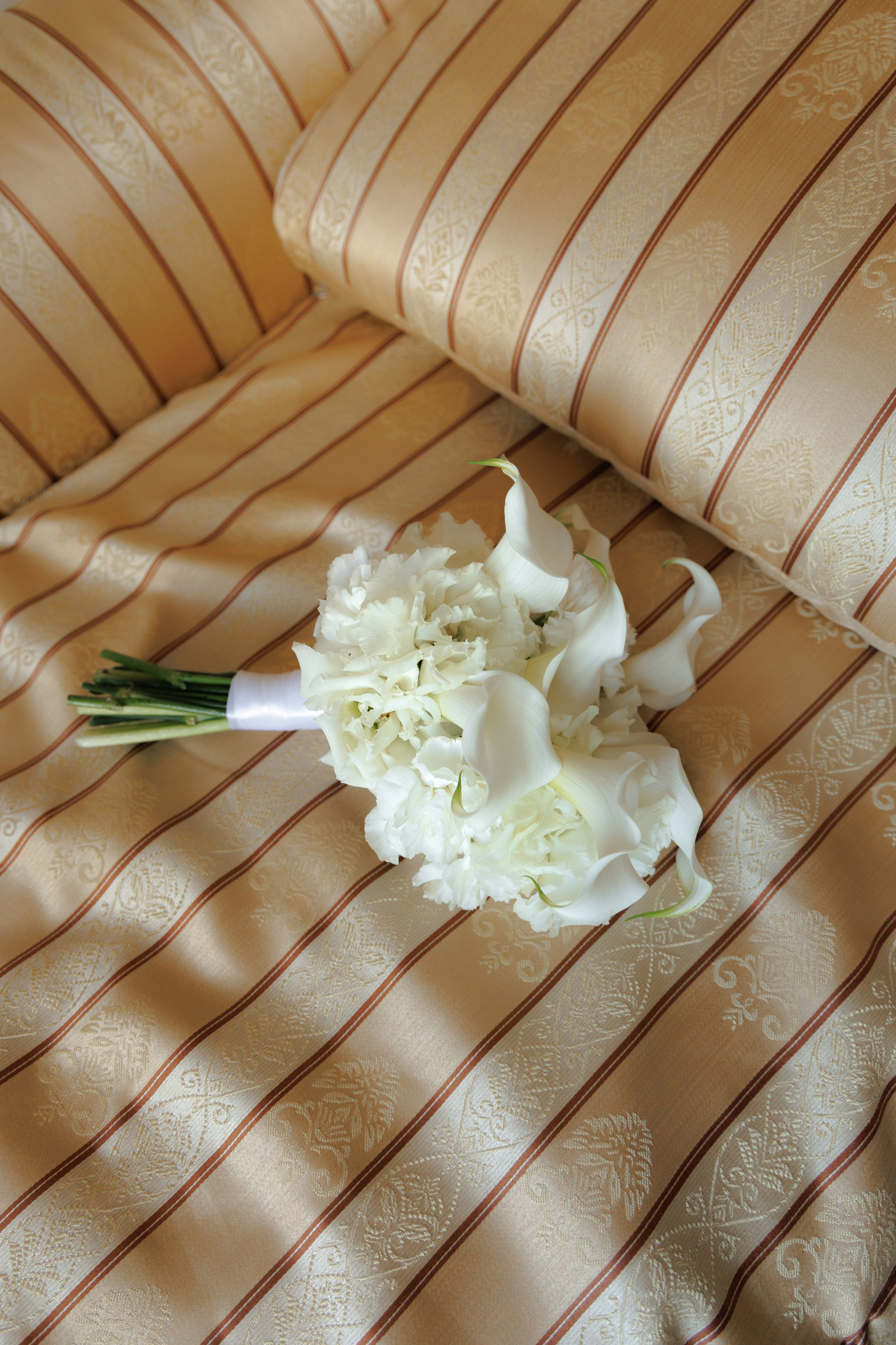 A&I. Фотограф Таганрог Хребет София