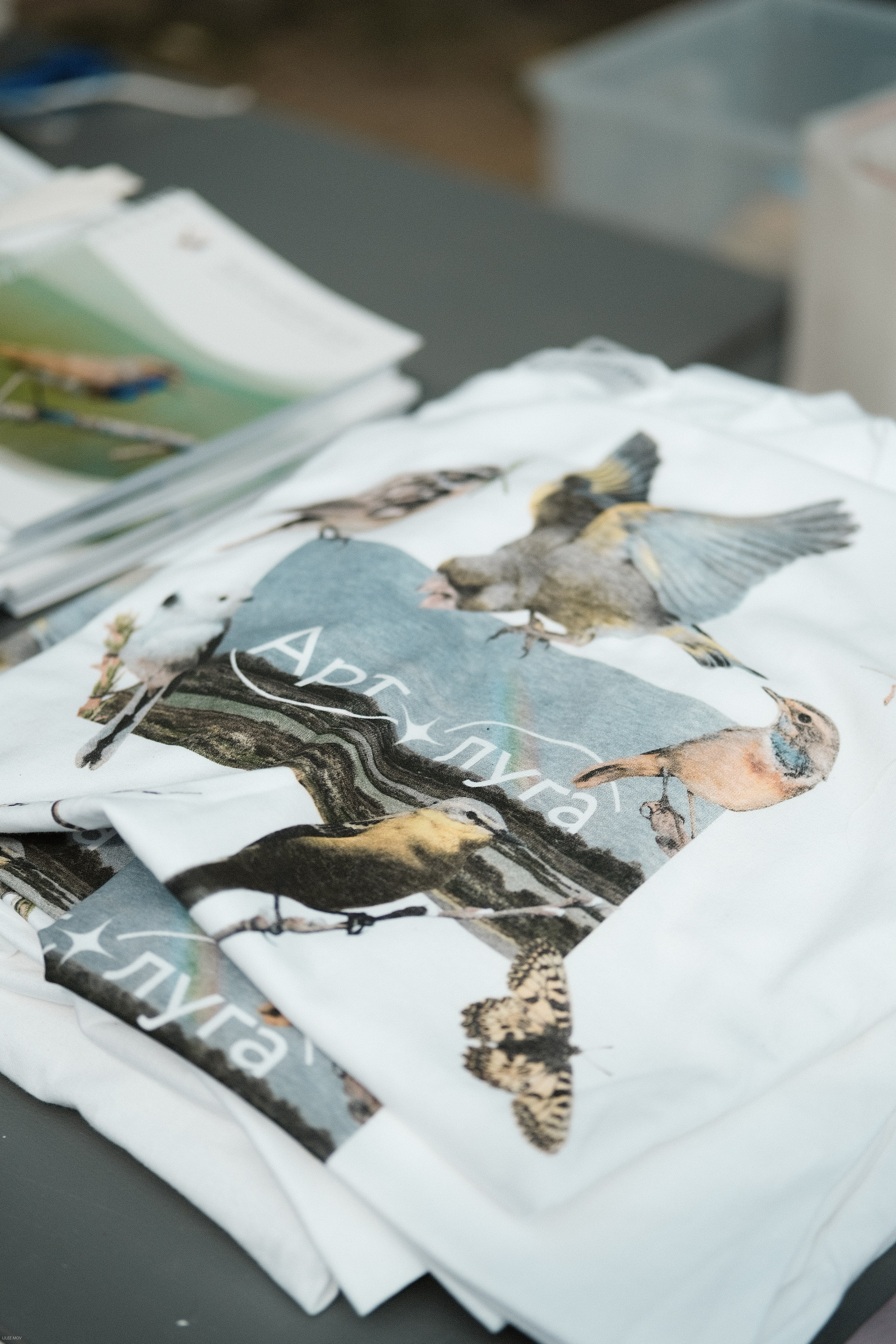 Эко-фестиваль АртЛуга 2023. LIYALEE PHOTO