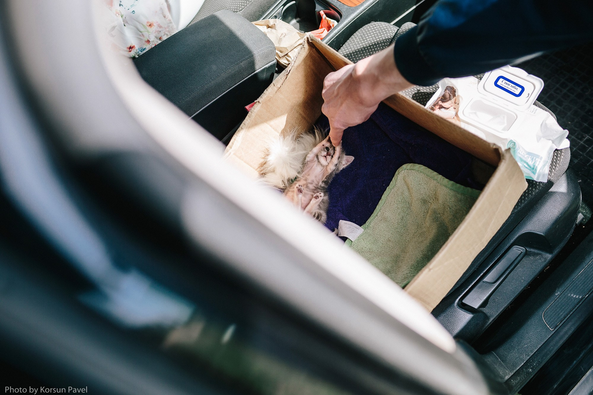 Ваня и Настя. Профессиональный фотограф в Крыму и Севастополе Павел Корсун