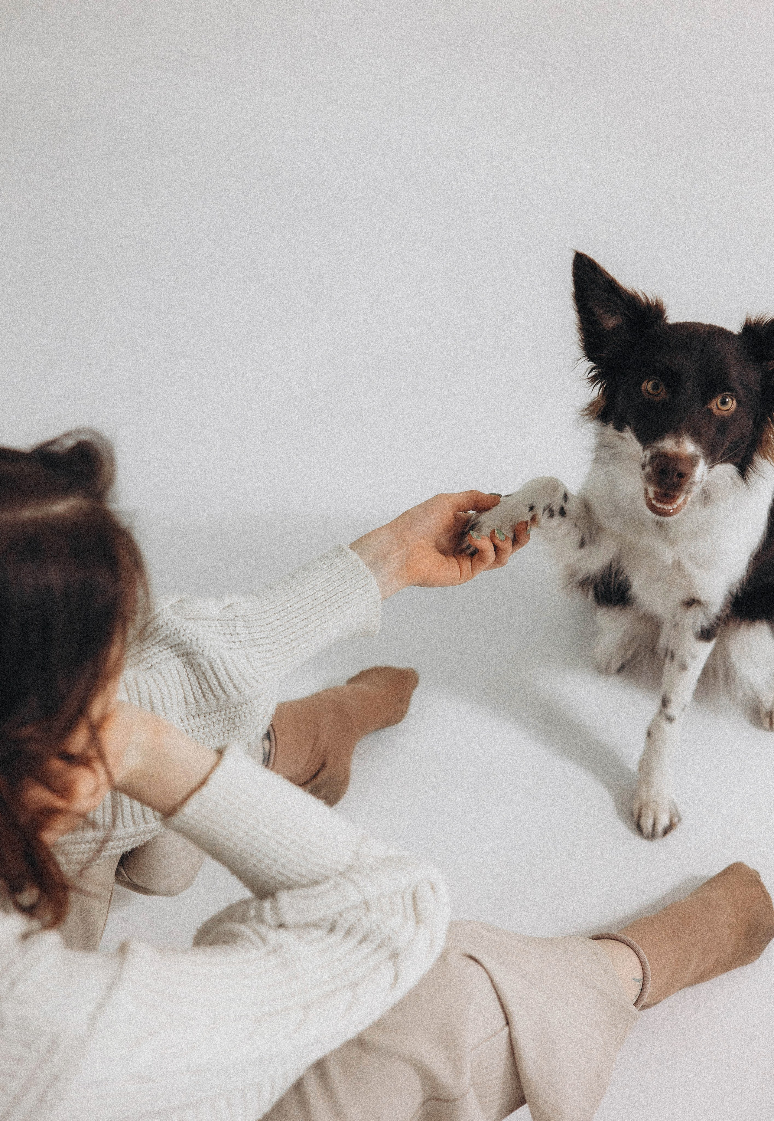 Алена и Гвендолин. Фотограф-анималист Богданова Полина