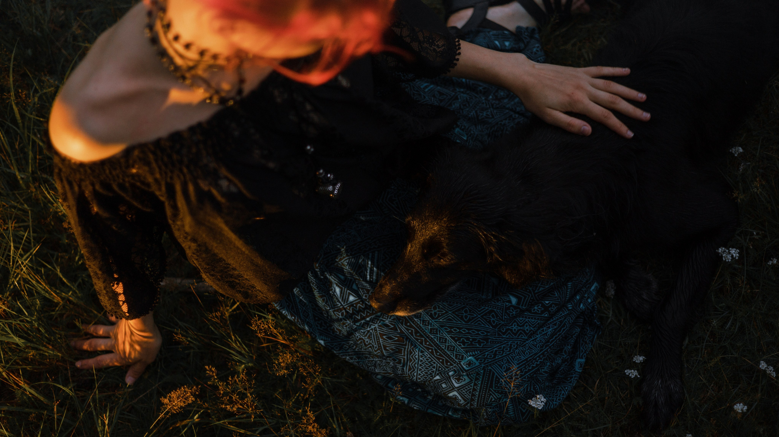 Лиза и Коди. Фотограф-анималист Богданова Полина