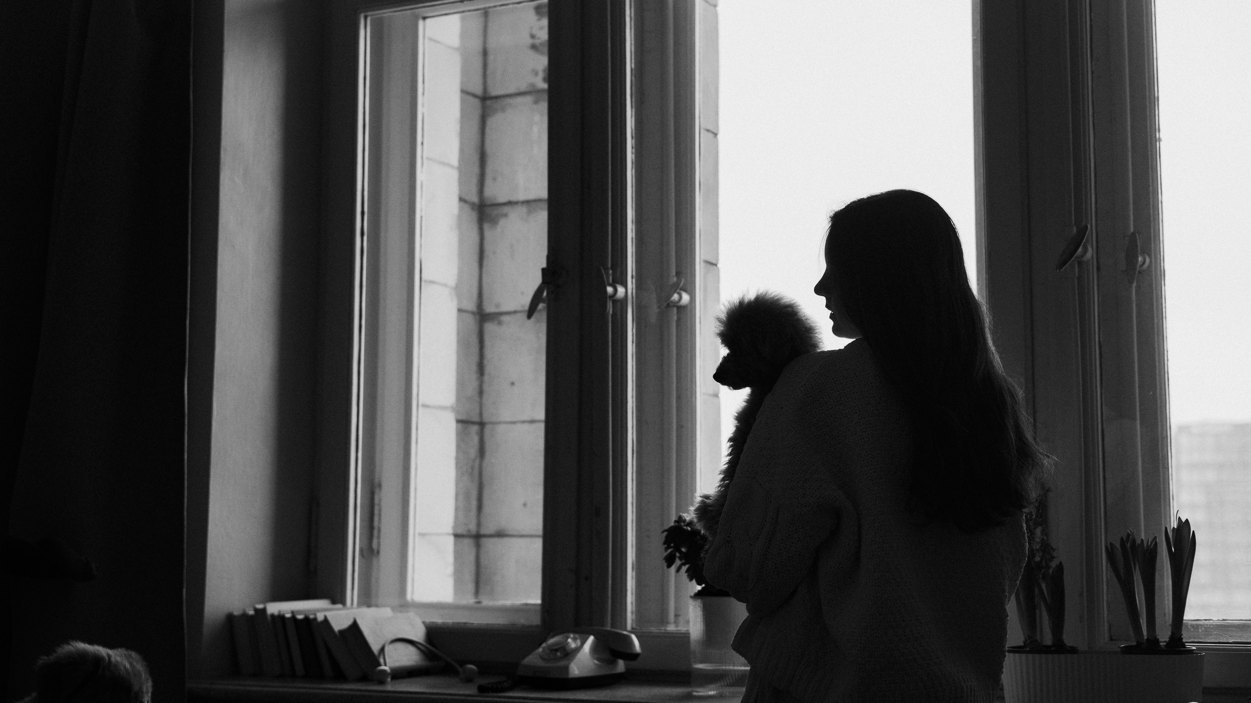 Маша, Одди и Нэвил. Фотограф-анималист Богданова Полина