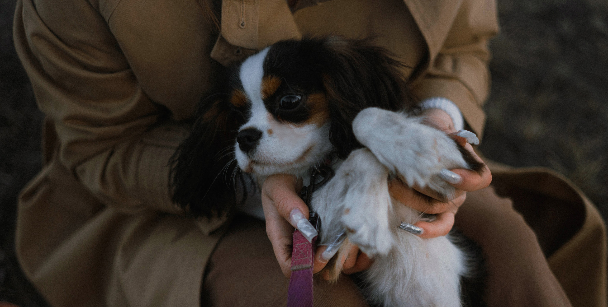 Ангелина и Йен. Фотограф-анималист Богданова Полина
