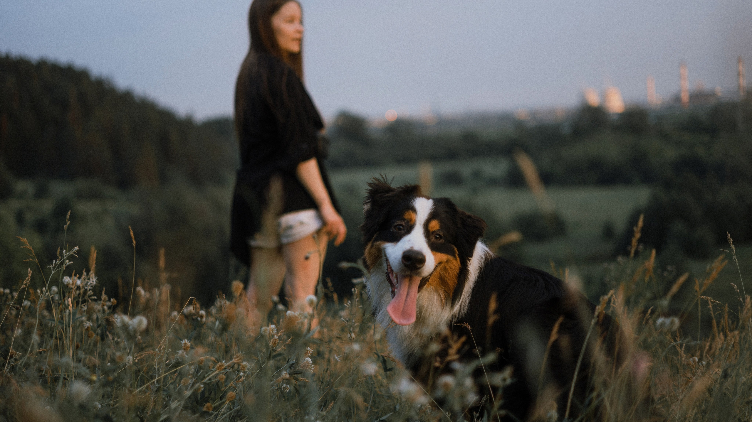 Яна и Уга. Фотограф-анималист Богданова Полина