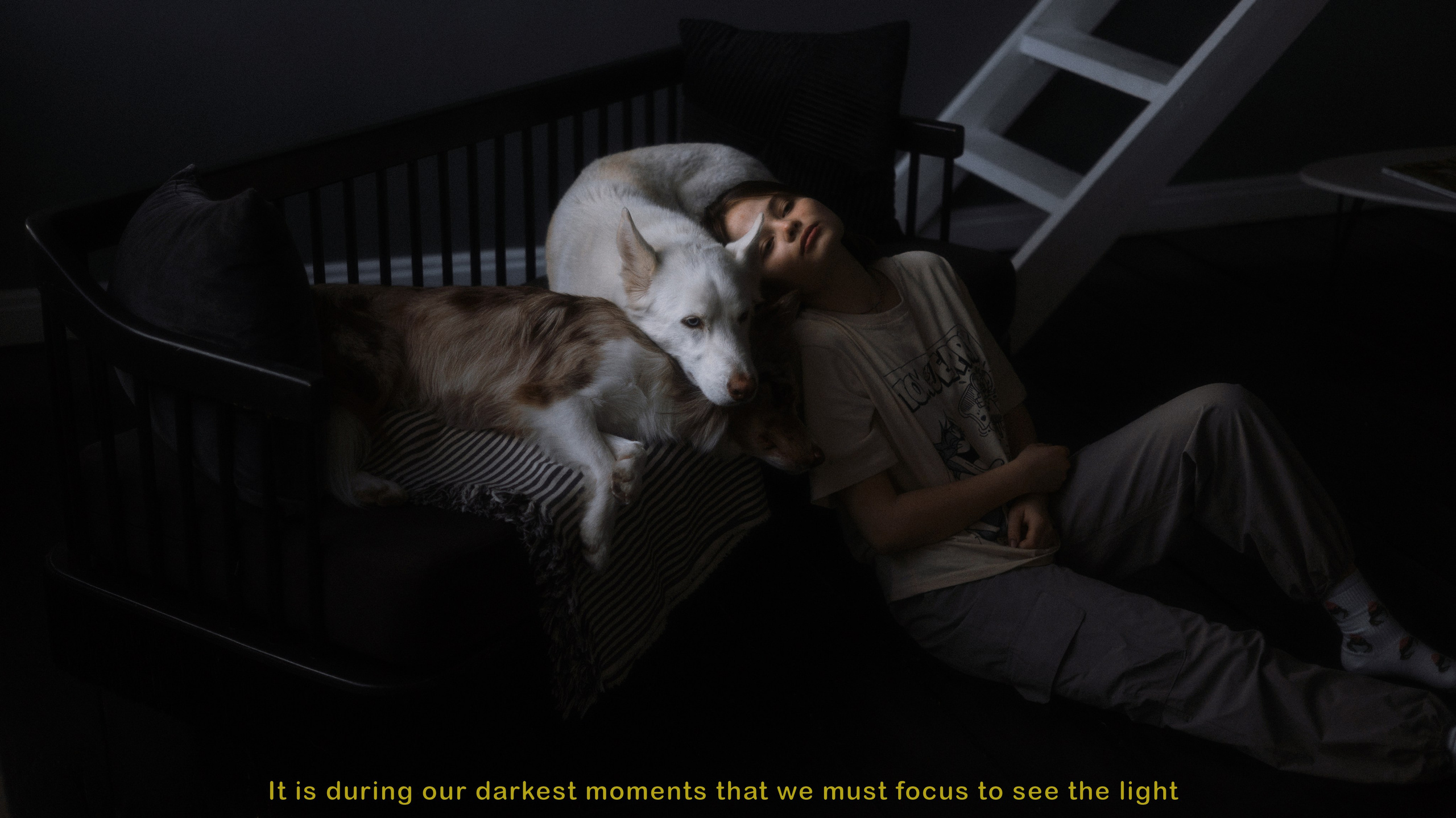 Аня, Дэймон и Грэй. Фотограф-анималист Богданова Полина