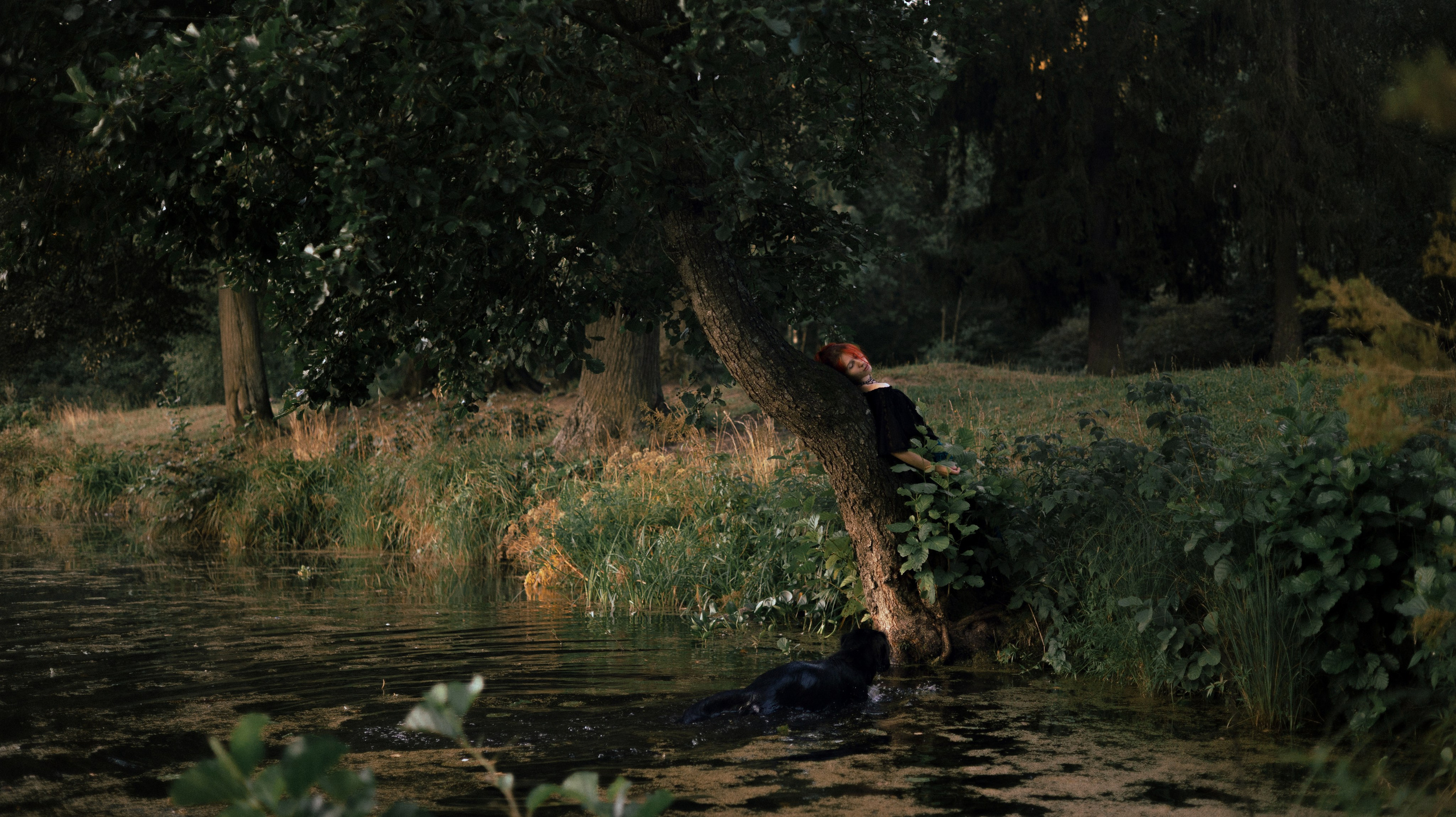 Лиза и Коди. Фотограф-анималист Богданова Полина