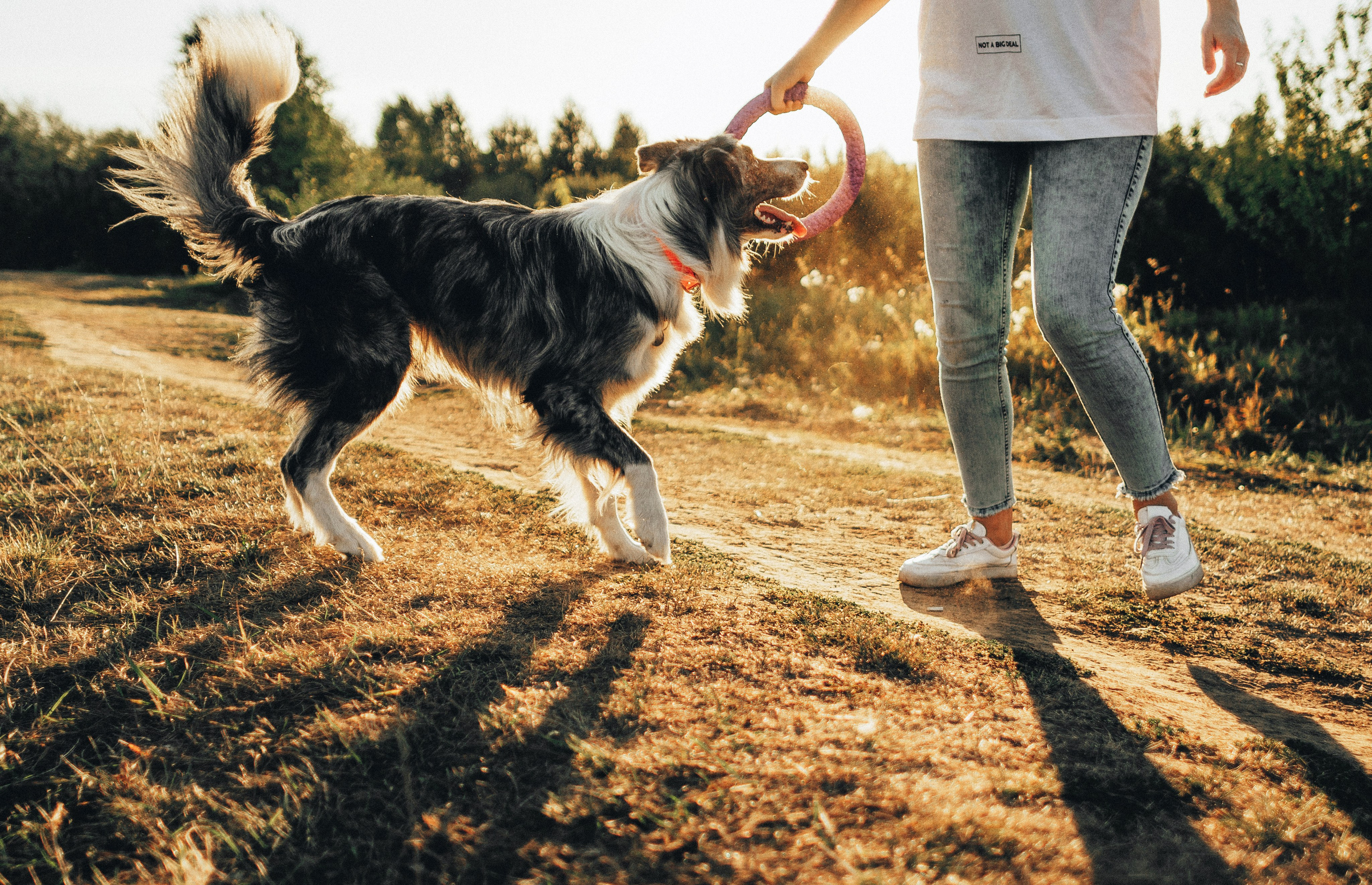 Таня и Бриллиант. Фотограф-анималист Богданова Полина