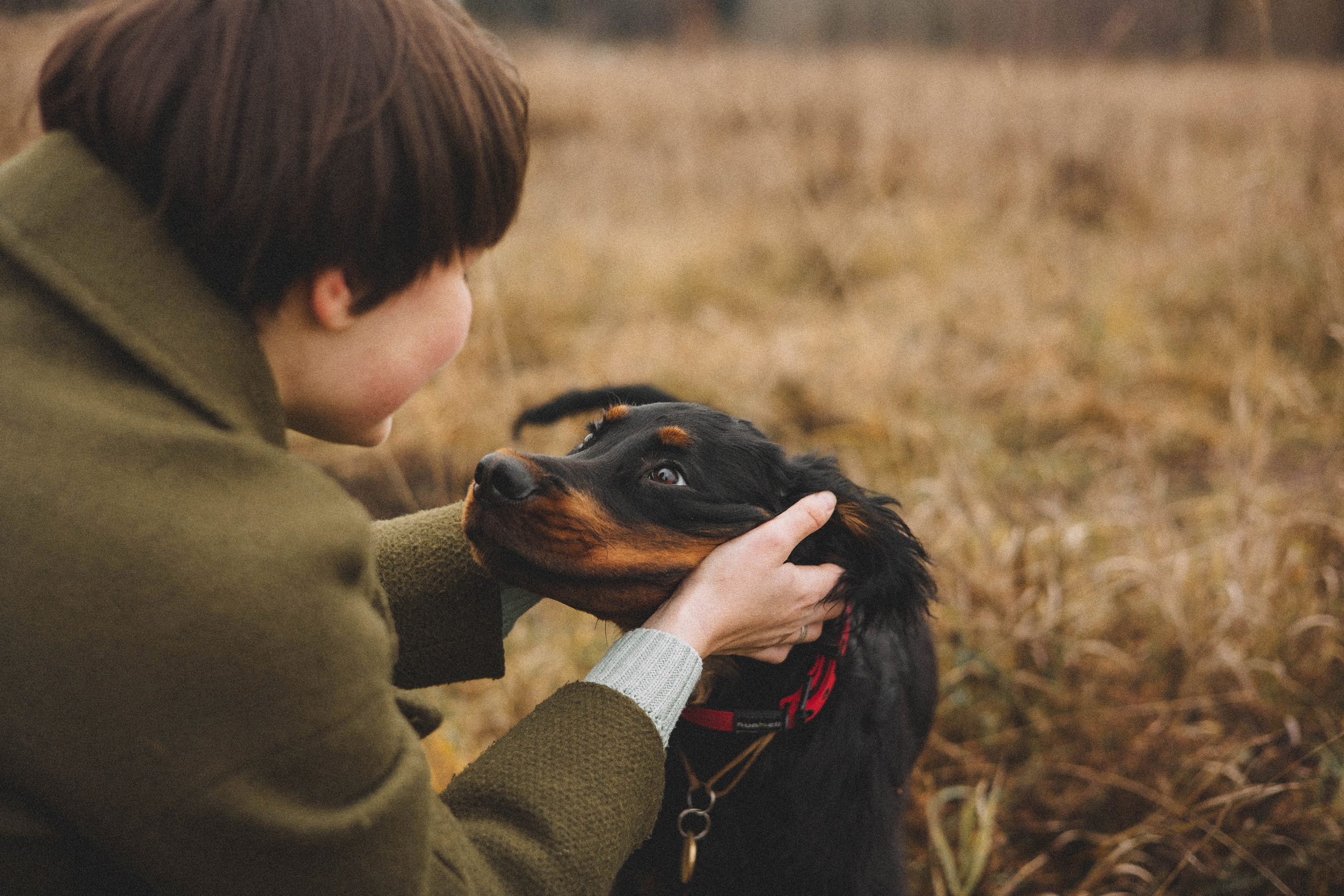 Даша, Глеб, Барс и Бруно. Фотограф-анималист Богданова Полина