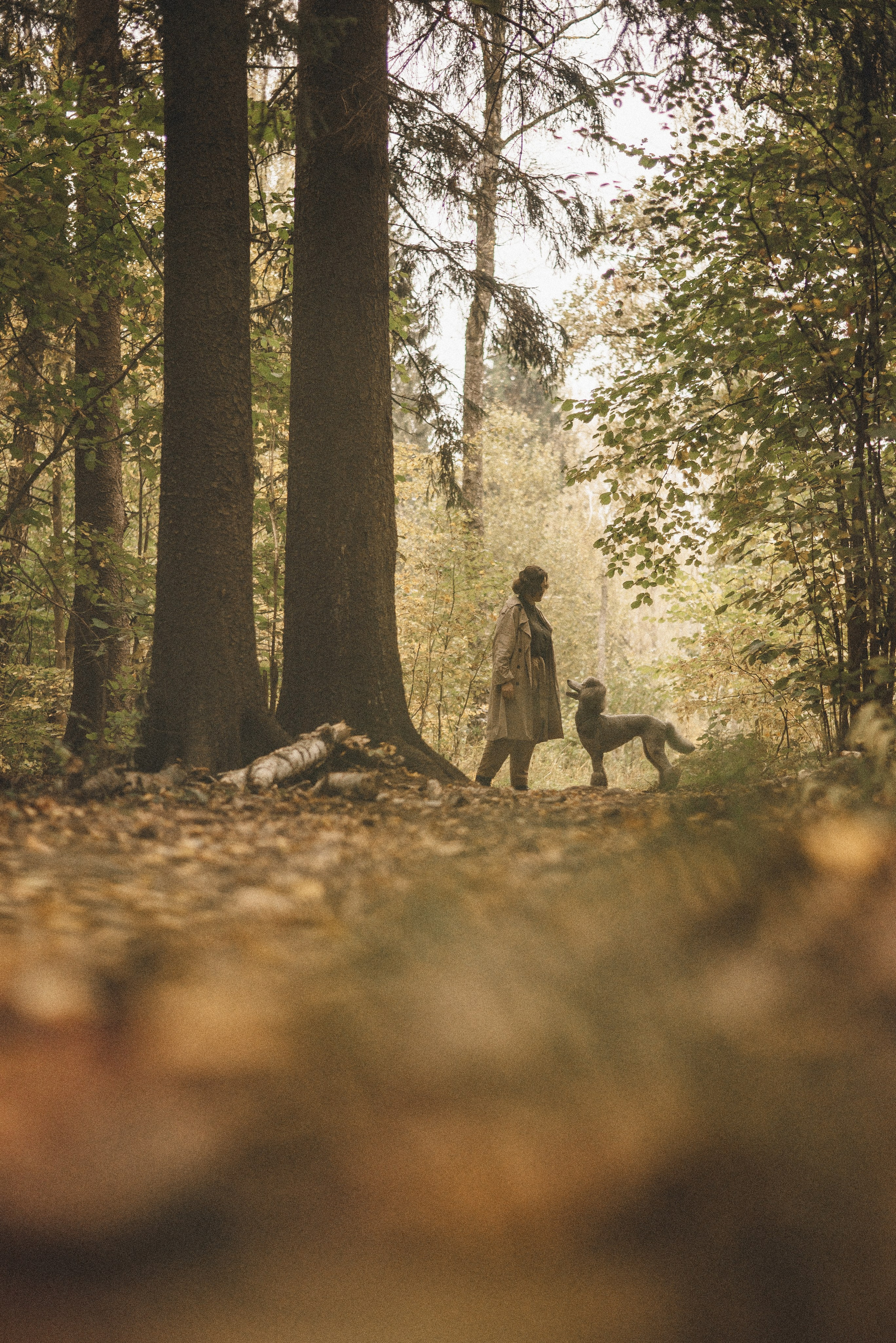 Алёна и Смоки. Фотограф-анималист Богданова Полина
