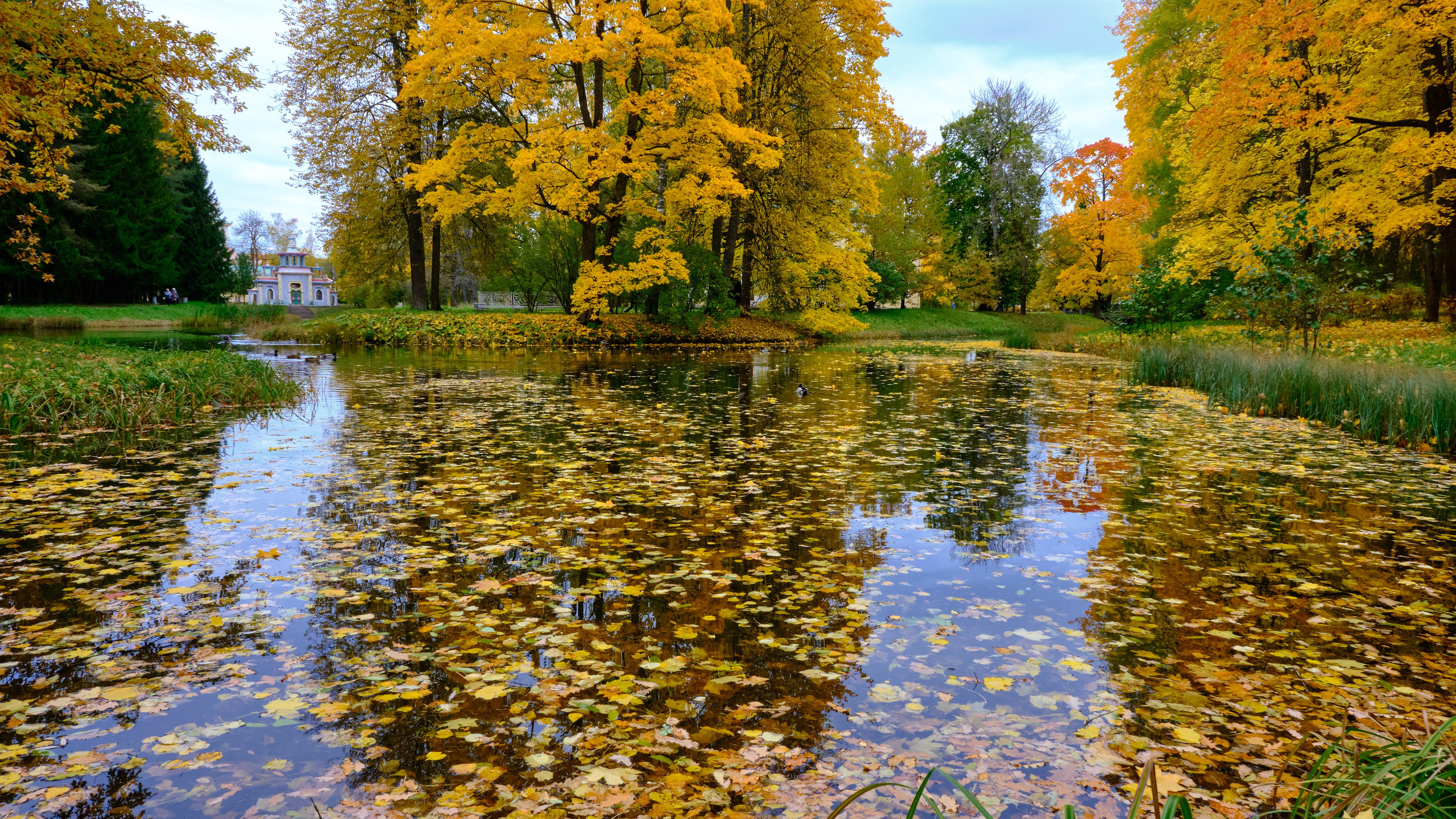 Времена года. Пейзажи Крайнего Севера. Баренцево море, Рыбачий, Средний, Немецкий