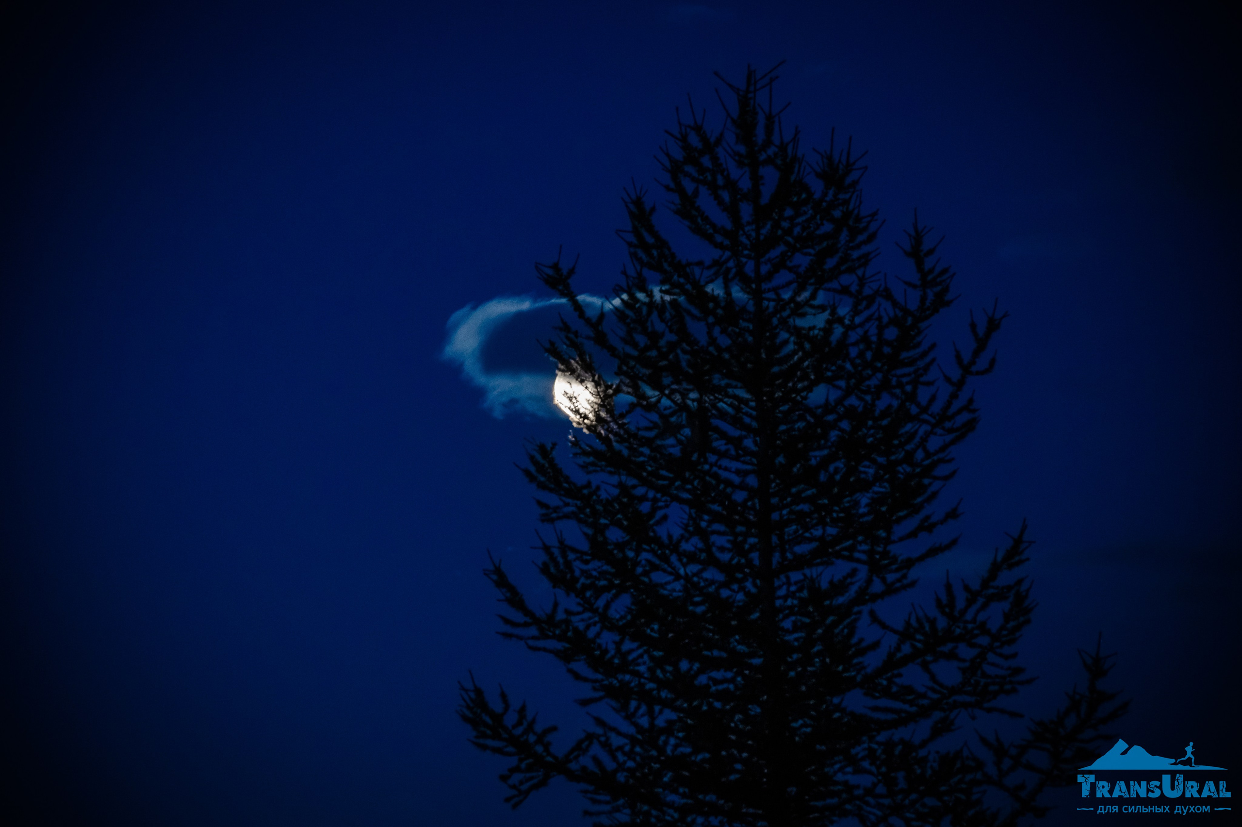 Полярный Урал. Авторские туры с профессиональным фотографом