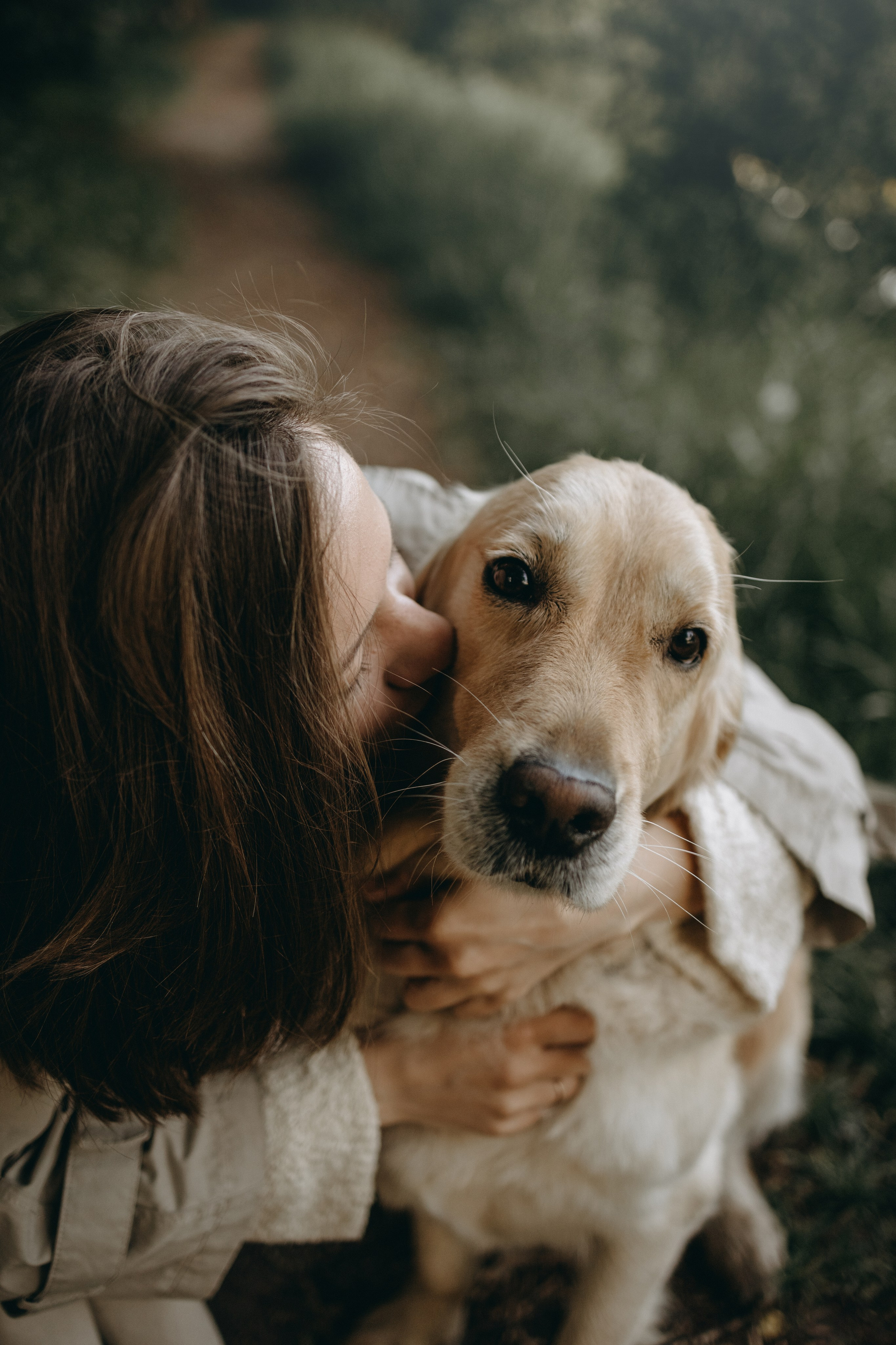 Пенни и ребята. Фотограф — Анималист | Санкт-Петербург