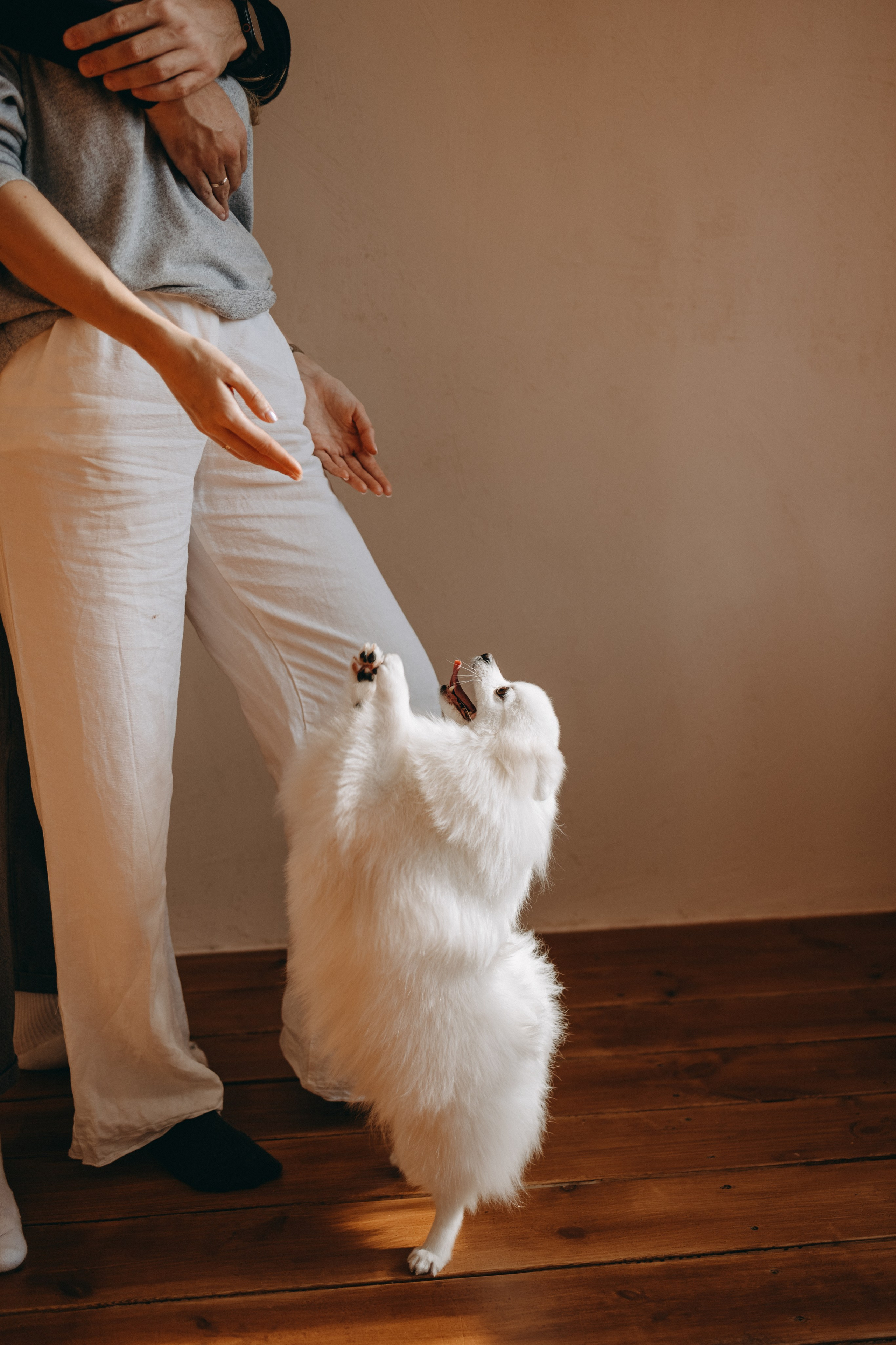 Джесси и ее семья. Фотограф — Анималист | Санкт-Петербург