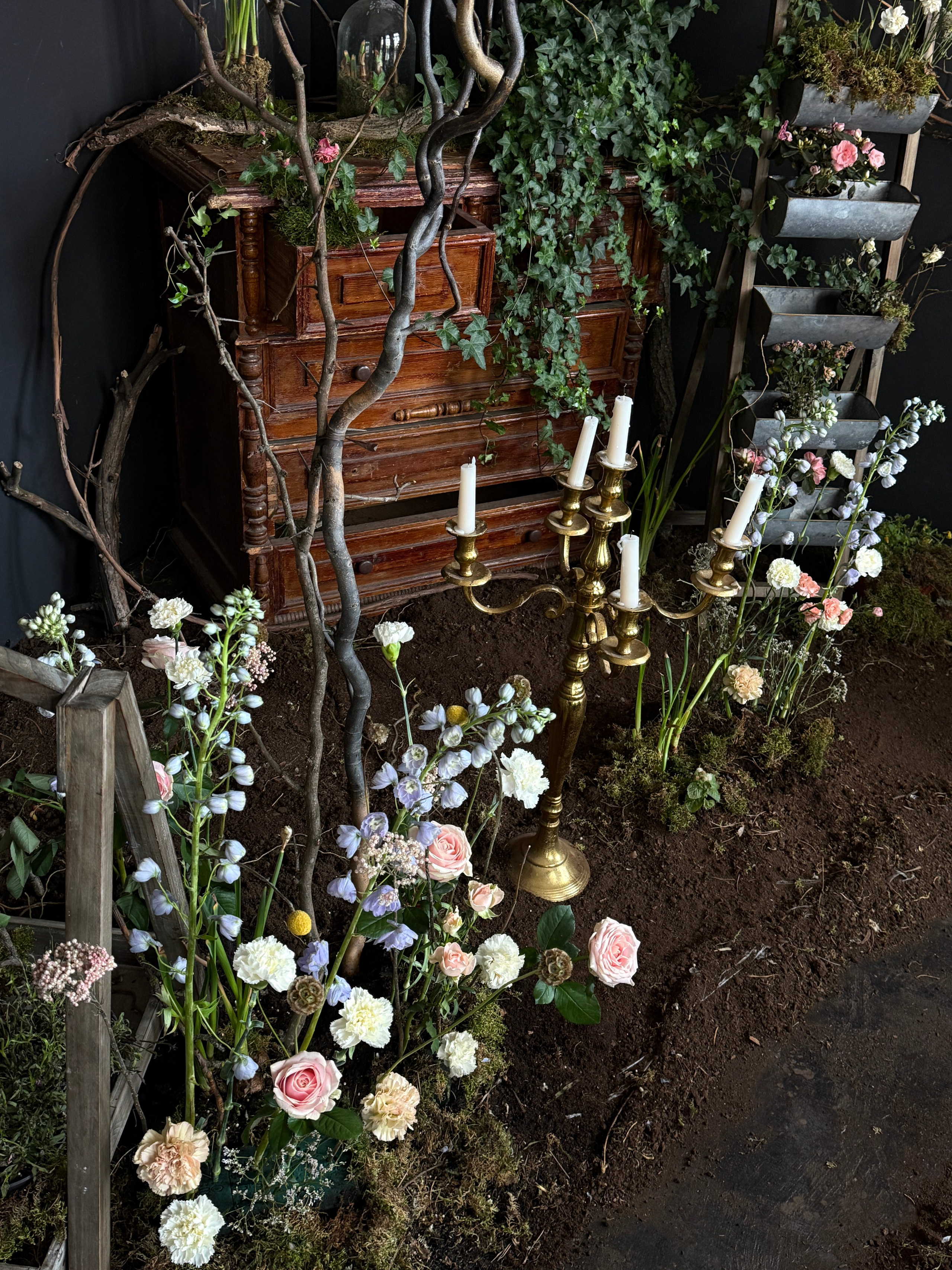 Фотостудия МОХ зал Тьма. Фотограф Настя Лев