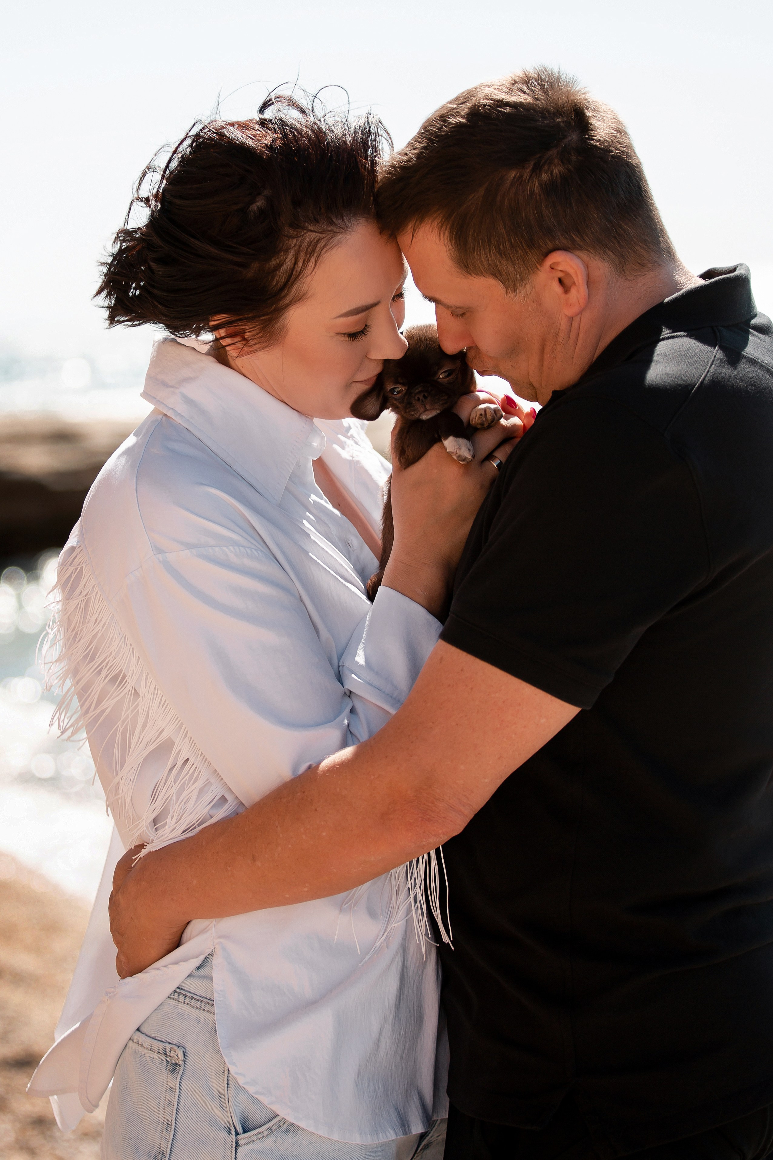 Веймаранер и чихуахуа в Крыму. Фотограф-анималист в Краснодаре Маша Мельникова