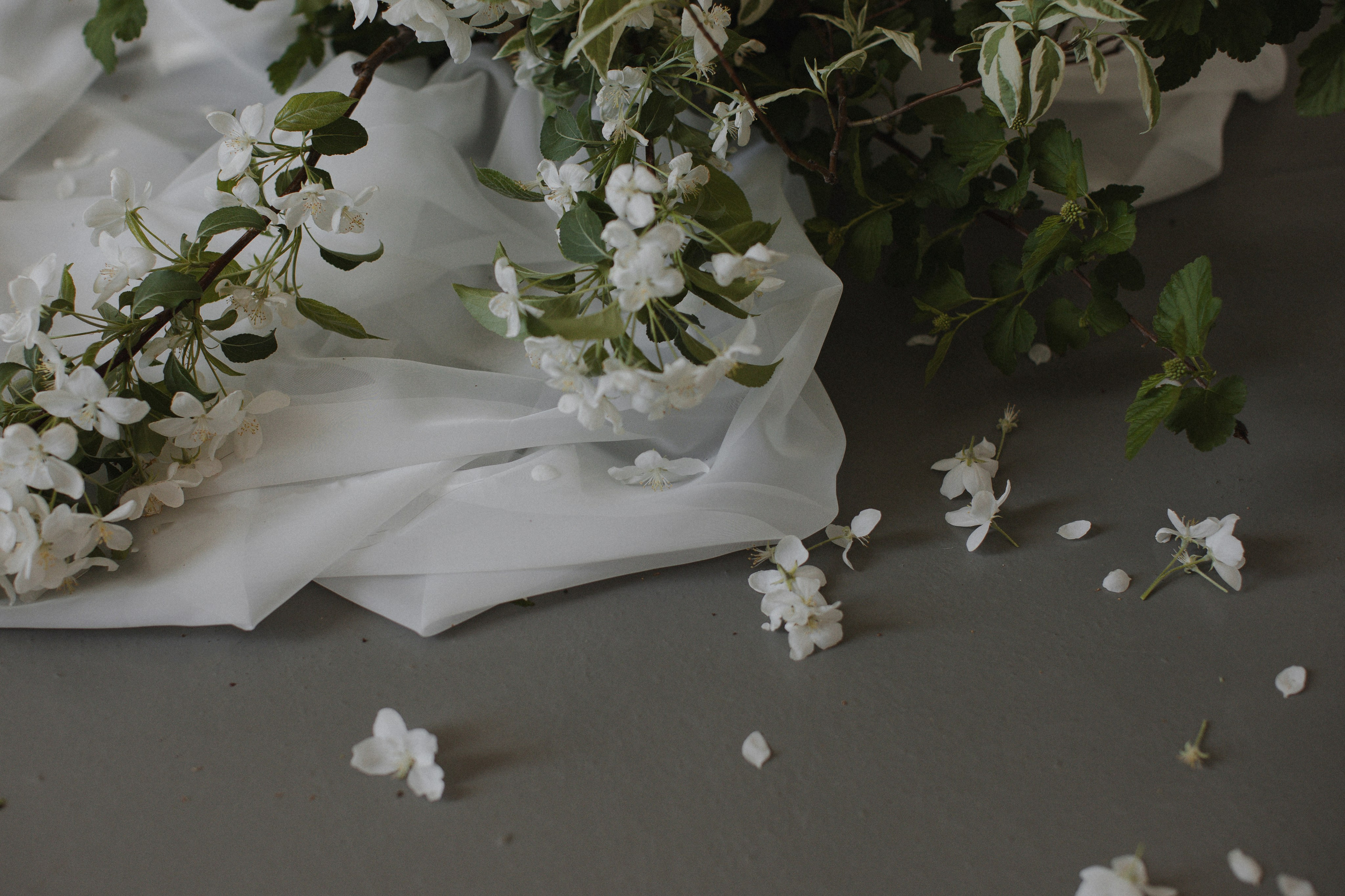 Антон и Елизавета. Свадебный фотограф Волгоград | Тарасова Светлана